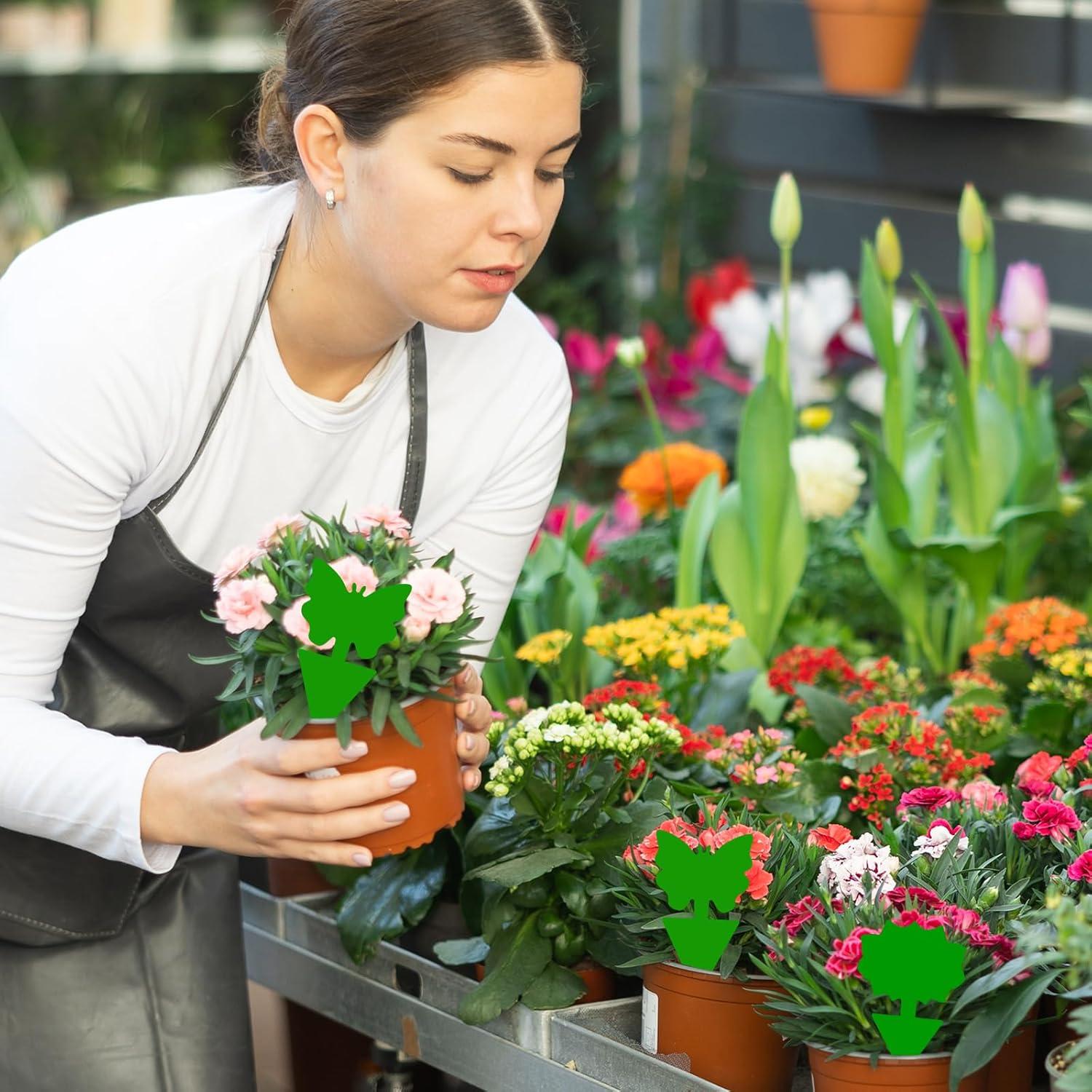 Trampas Adhesivas Verdes para Moscas de Fruta - 100 Unidades