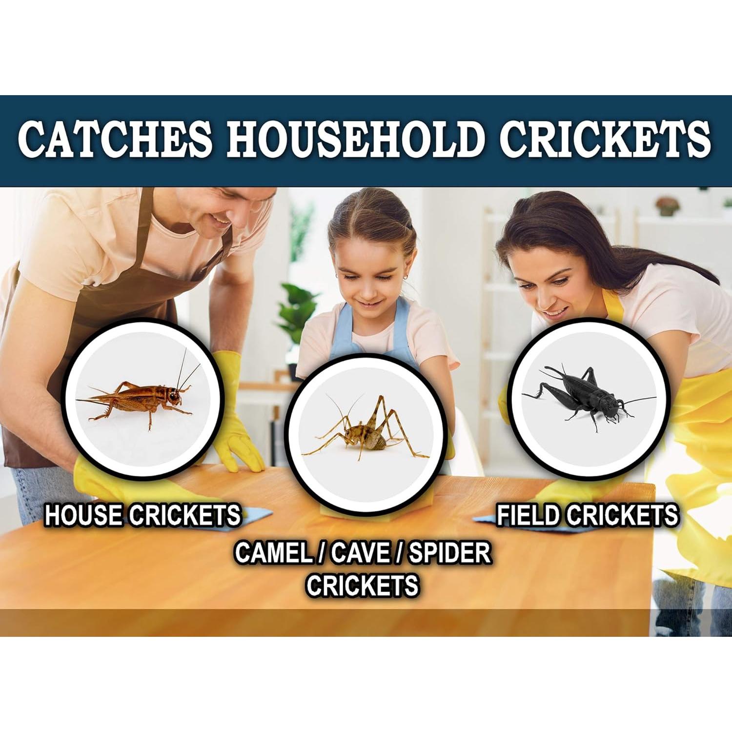 Trampas para Grillos Extra Grandes MaxGuard - 8 Unidades, No Tóxicas