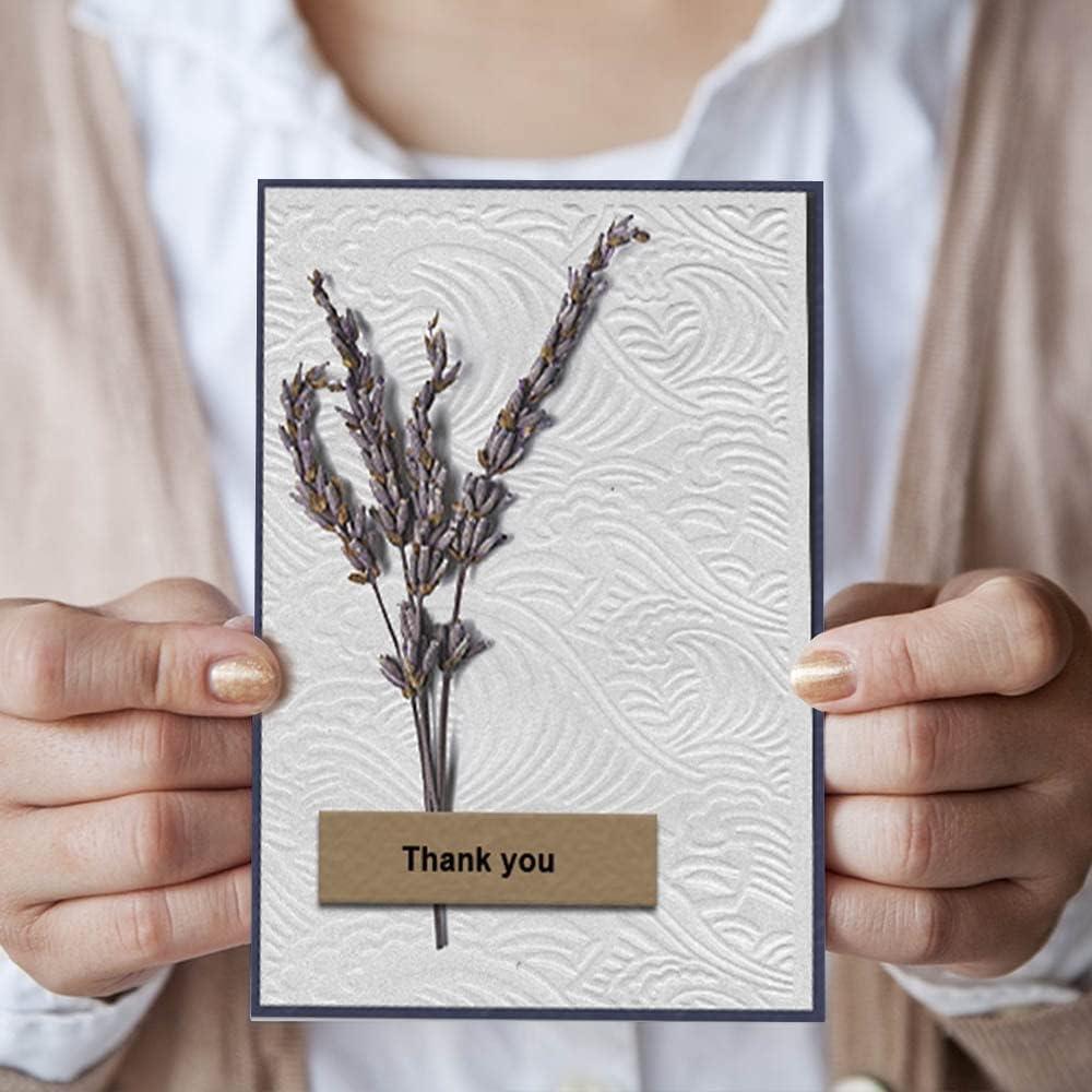 Carpeta de Relieve Estivaux Olas para Tarjetas 10.5 x 14.3 cm