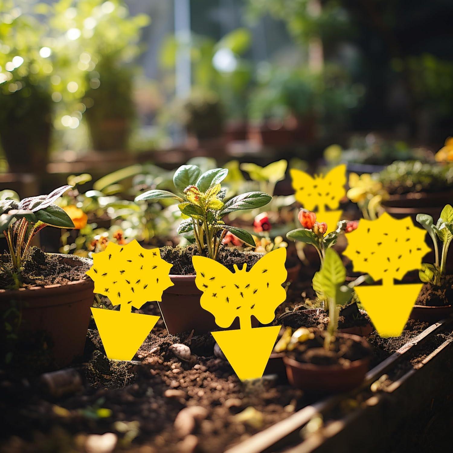 Trampas Adhesivas Amarillas para Moscas de Fruta Landisun 36pc