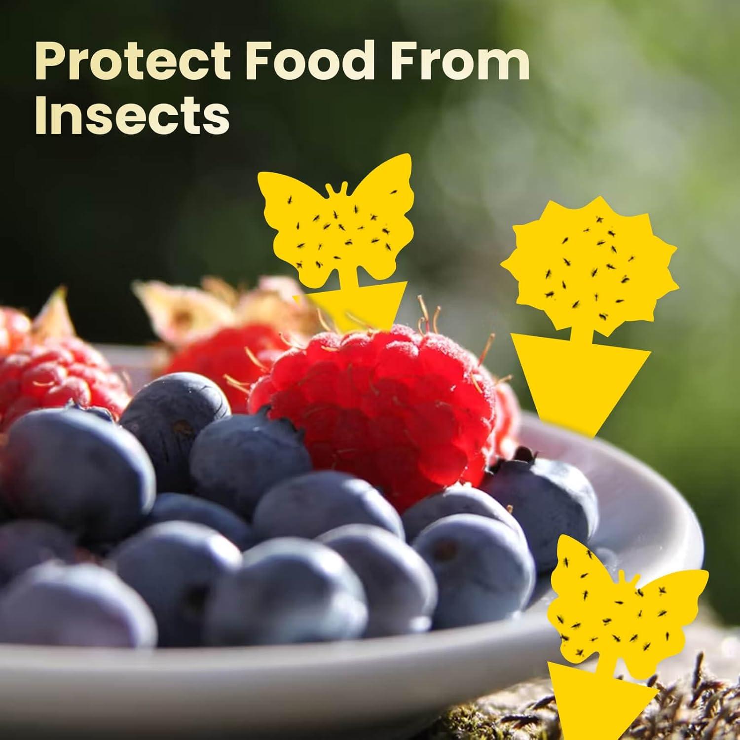 Trampas Adhesivas Amarillas para Moscas de Fruta Landisun 36pc