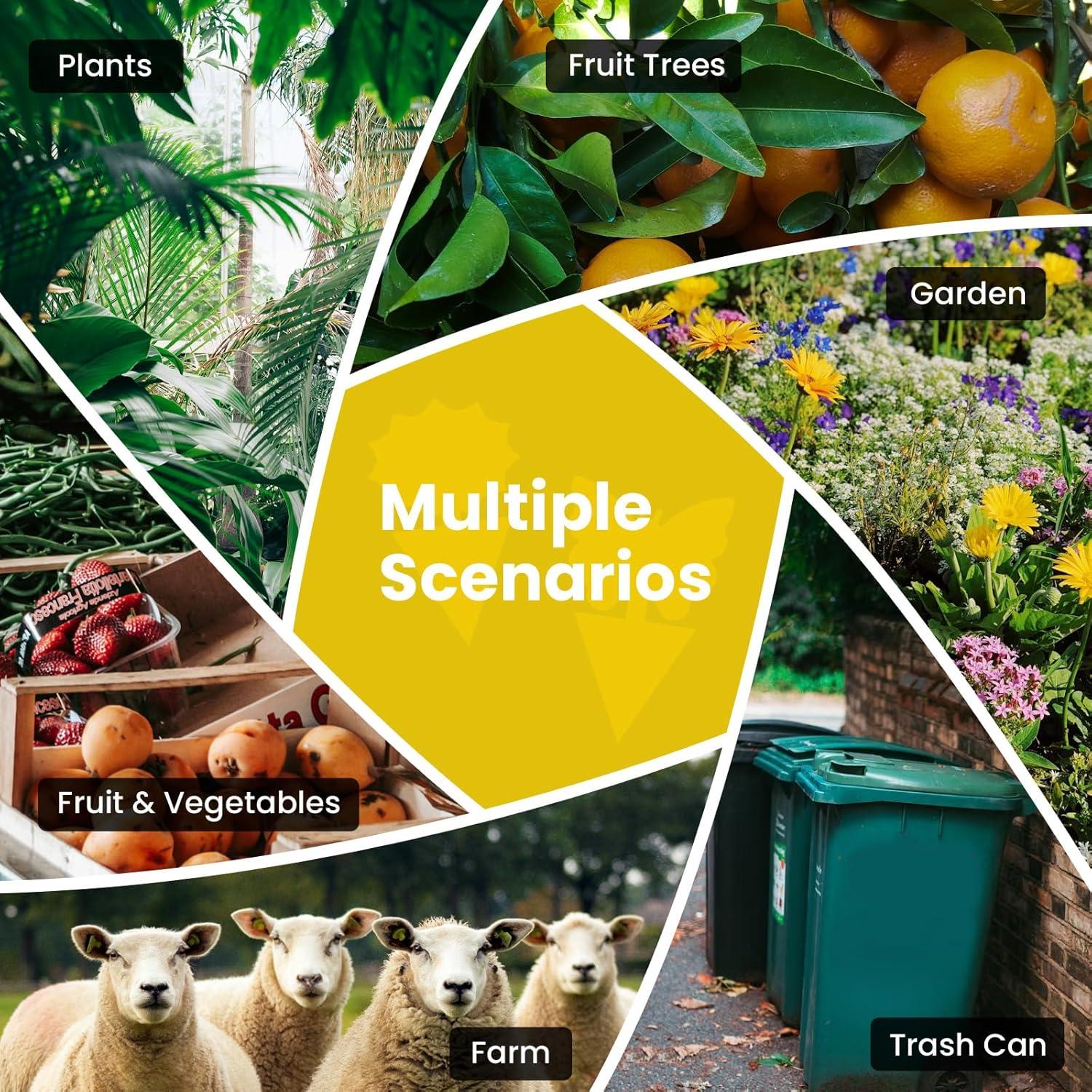 Trampas Adhesivas Amarillas para Moscas de Fruta Landisun 36pc