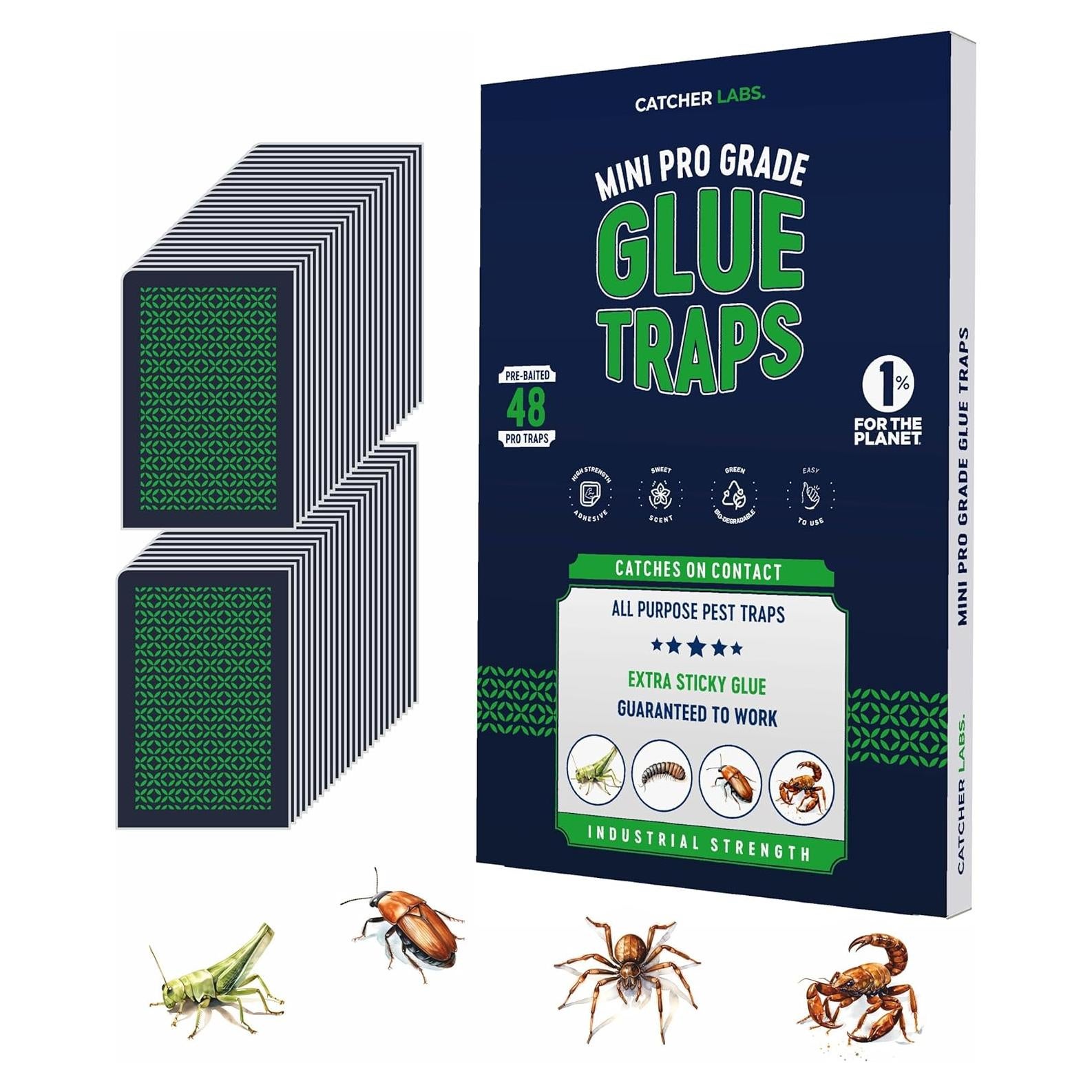 Trampas de Insectos Catcher Labs 48 Unidades Extra Pegajosas