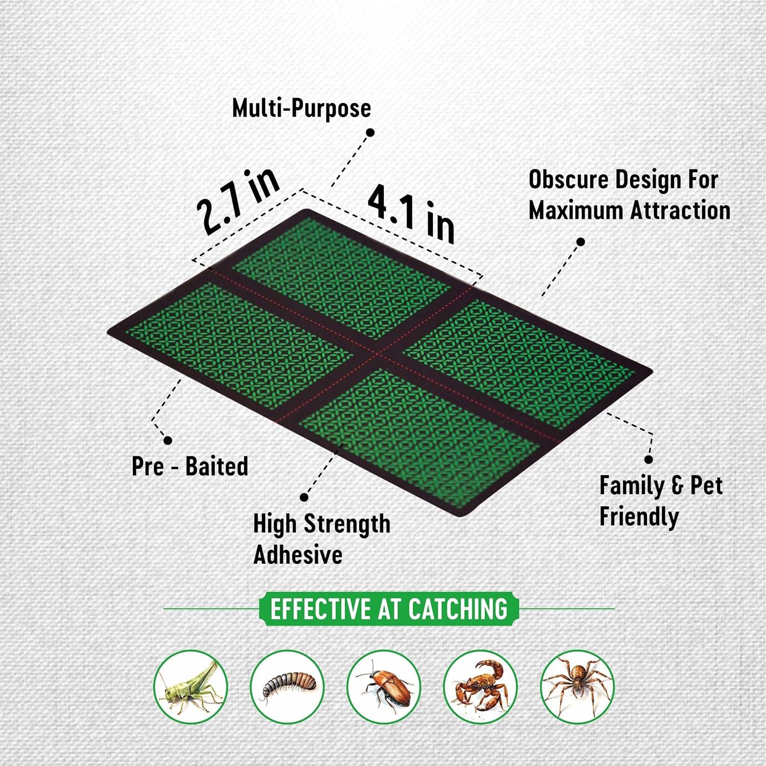 Trampas de Insectos Catcher Labs 48 Unidades Extra Pegajosas