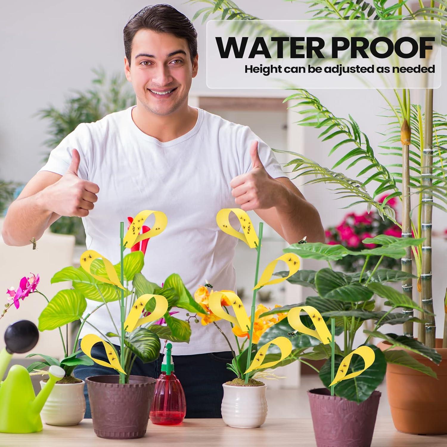 150 Trampas Adhesivas para Moscas de Hongos Qualirey Amarillo