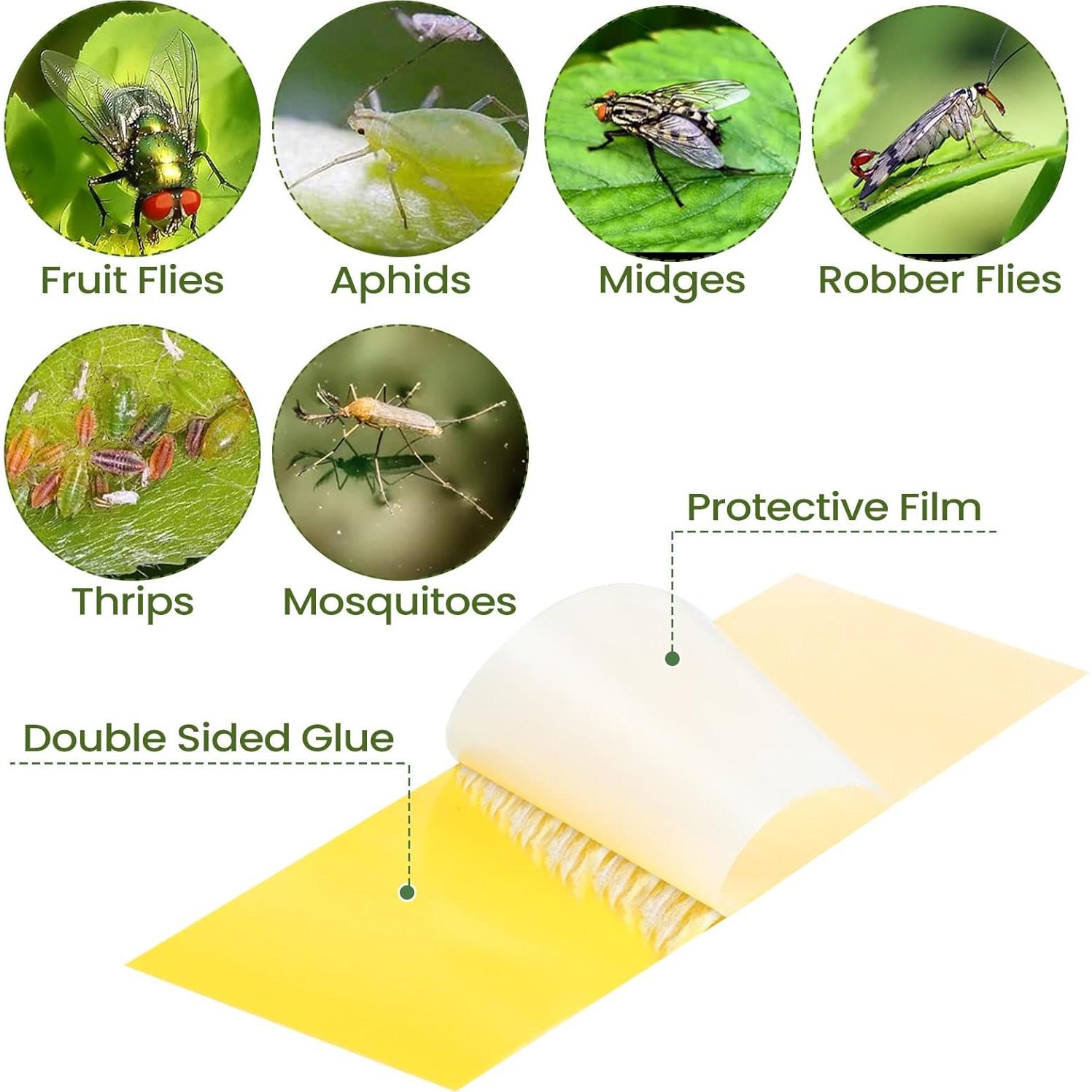 150 Trampas Adhesivas para Moscas de Hongos Qualirey Amarillo