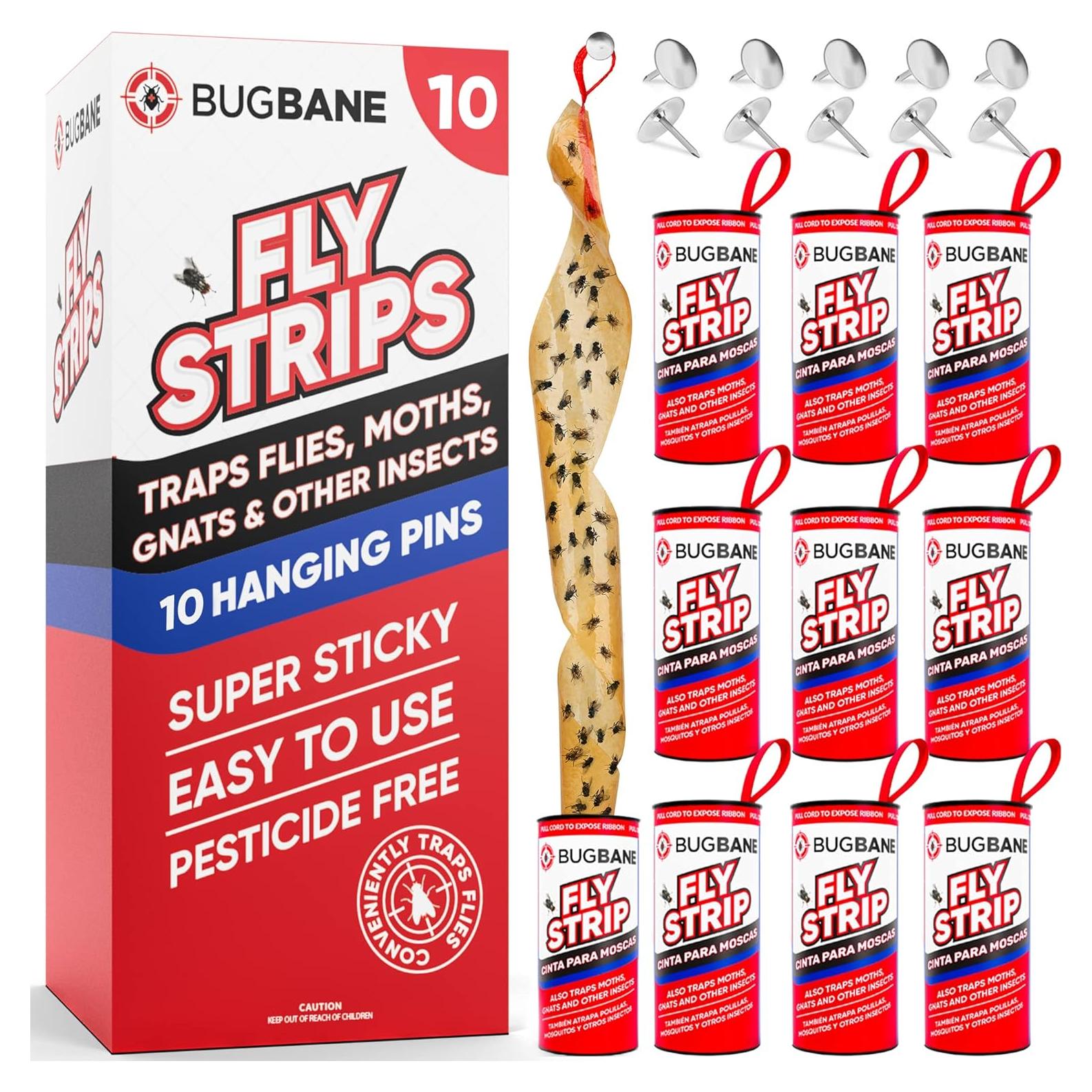 Trampa Adhesiva para Moscas BugBane 10 Unidades No Tóxica