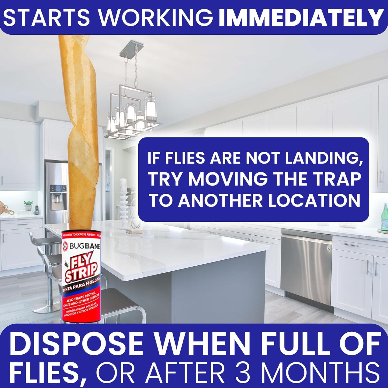 Trampa Adhesiva para Moscas BugBane 10 Unidades No Tóxica