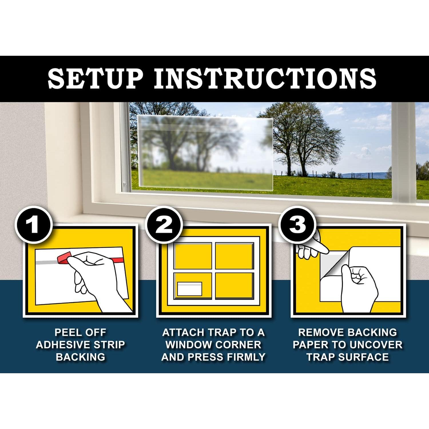 Trampas Adhesivas para Moscas MaxGuard - 24 Trampas XL No Tóxicas