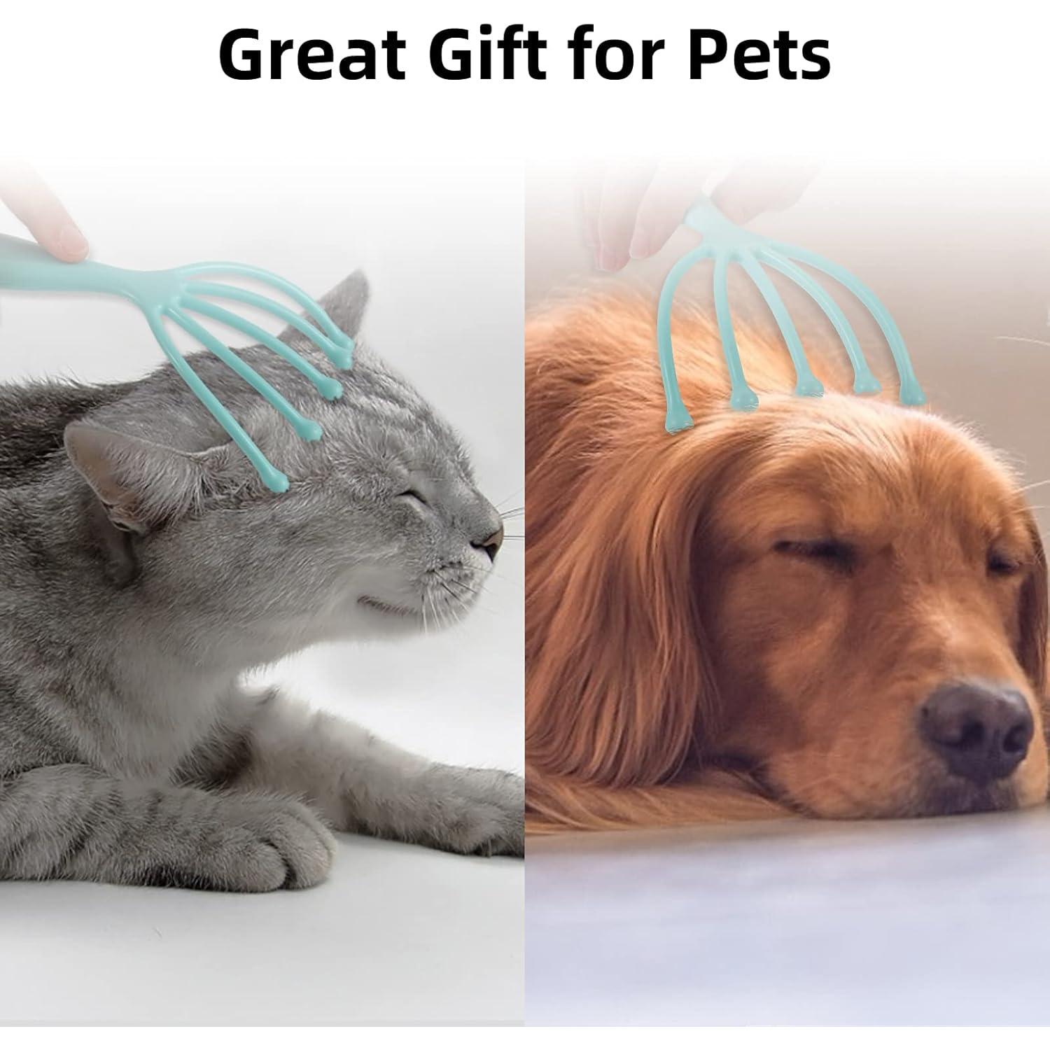 Masajeador de cuero cabelludo F-KING 2-pack Azul y Verde