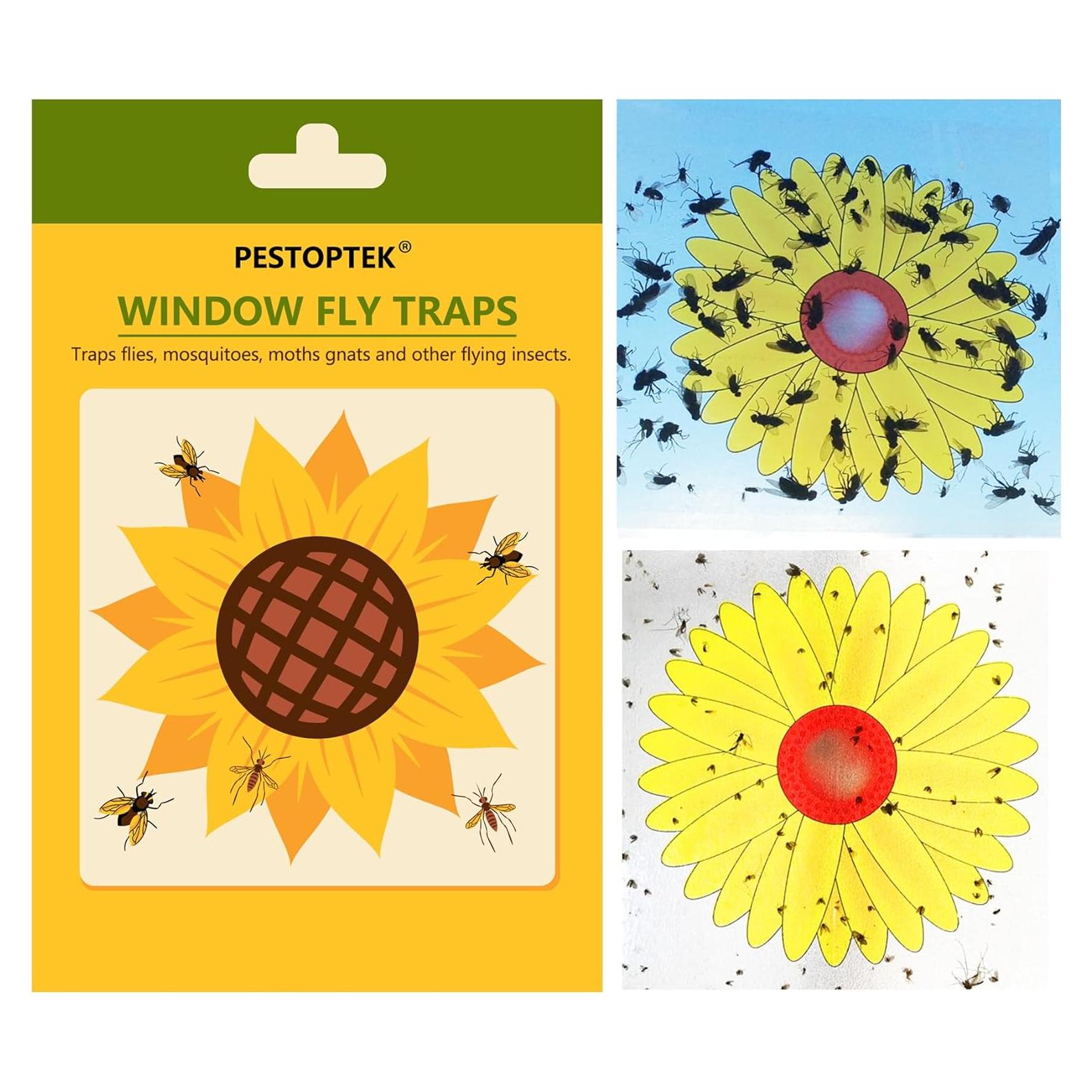 Trampas para Moscas de Girasol Ai W - Paquete de 16 Unidades