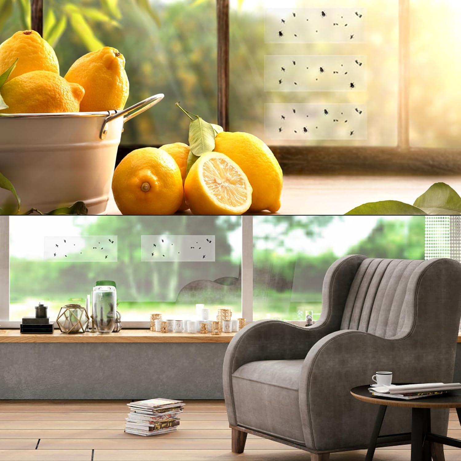 Trampas Adhesivas Transparentes Faicuk 20 Unidades para Moscas