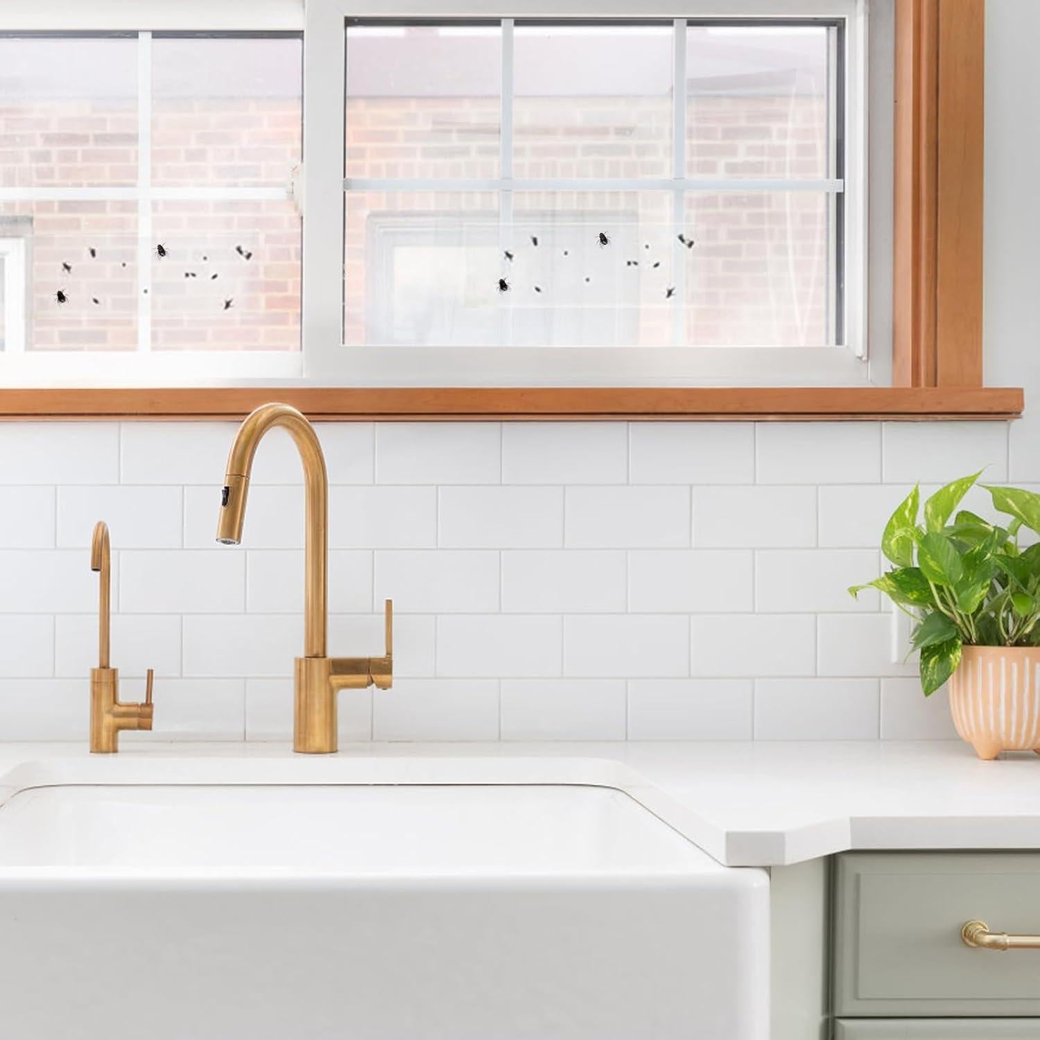 Trampas Adhesivas Transparentes Faicuk 20 Unidades para Moscas