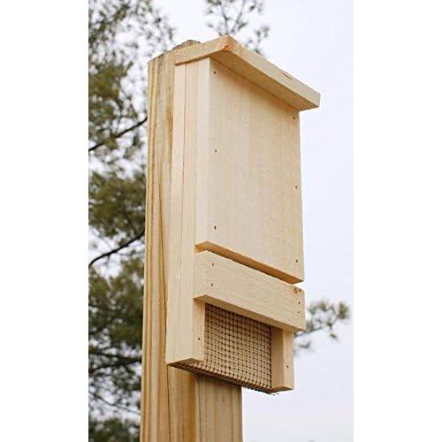 Paquete de 6 Kits de Manualidades para Niños Coveside - Casas para Murciélagos de Madera