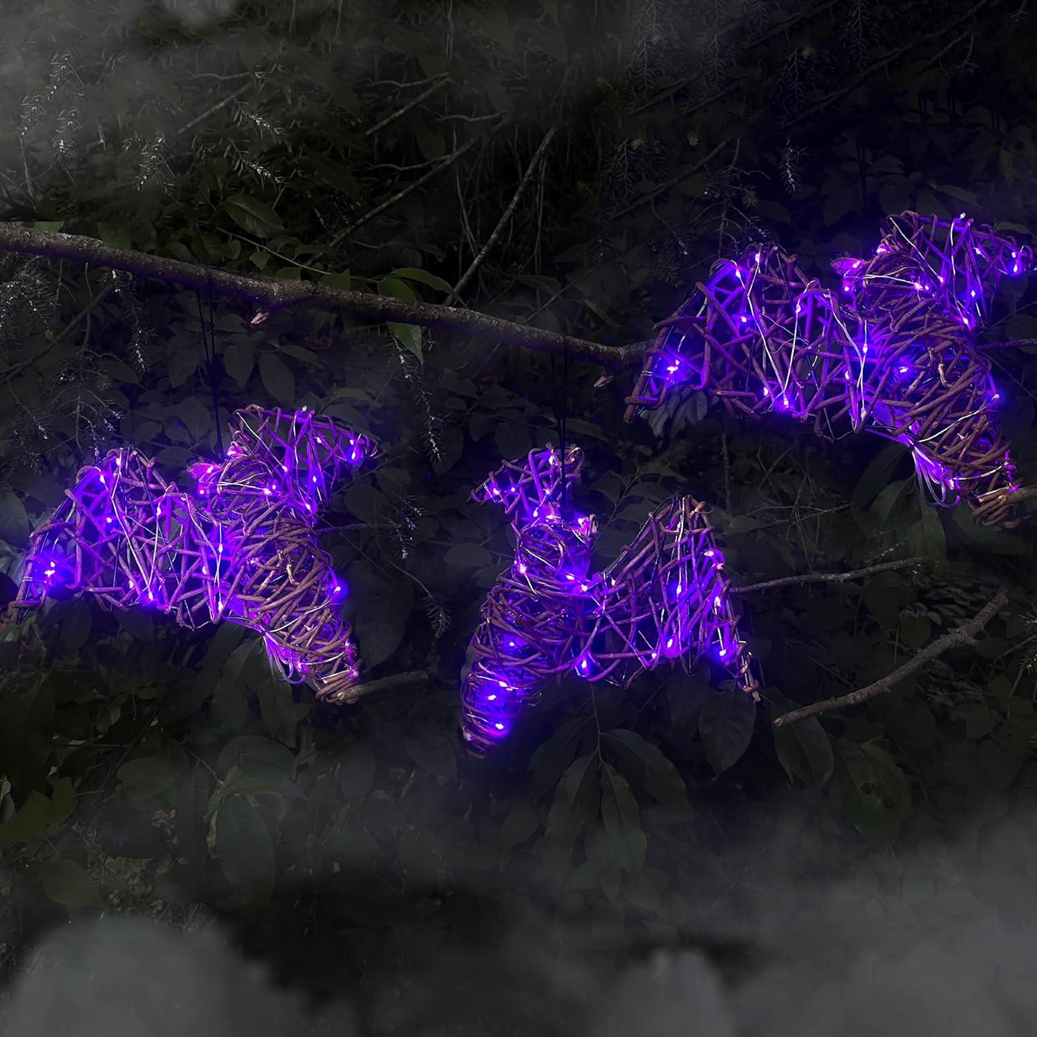 Conjunto de 3 Murciélagos de Ratán Iluminados Haunted Hill Farm