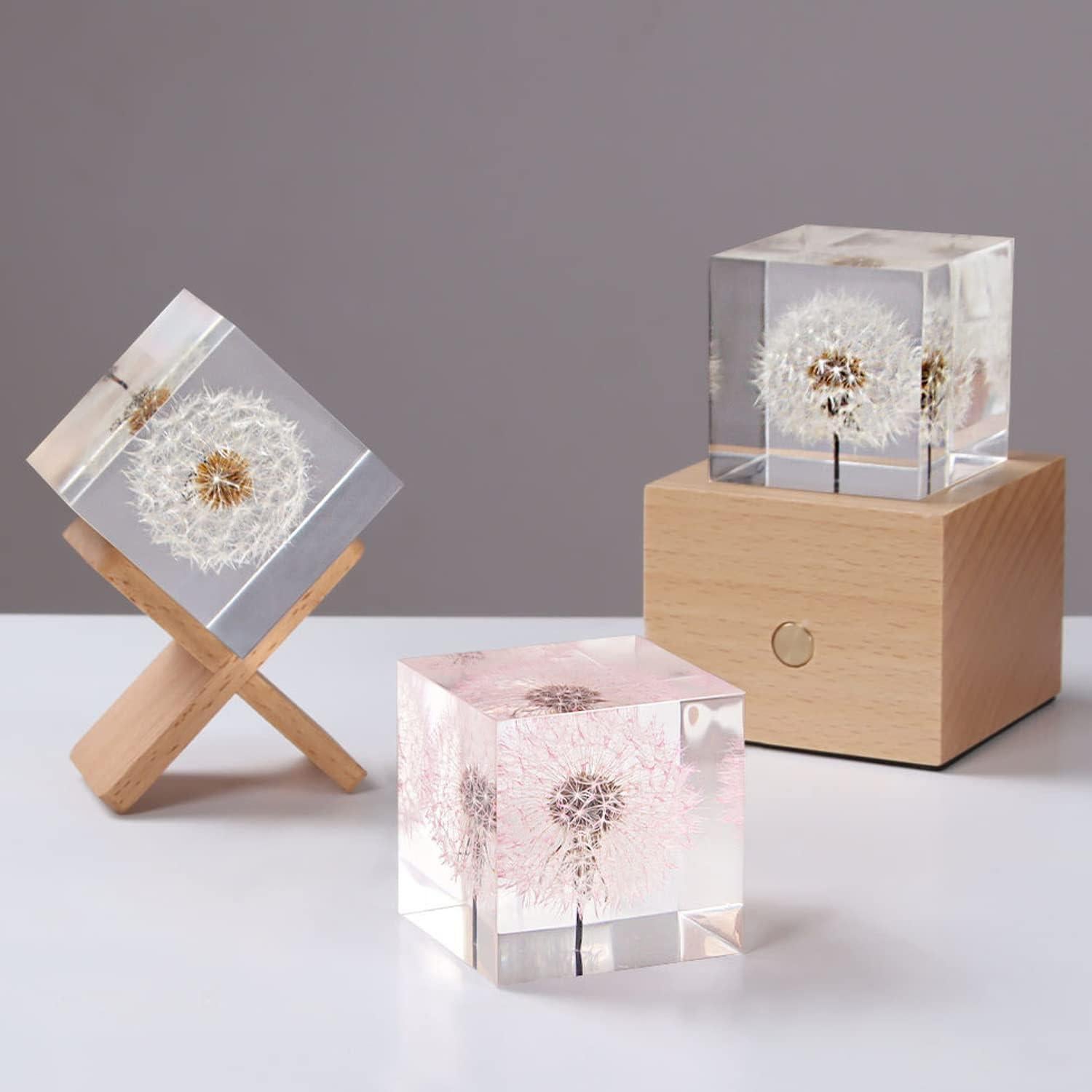 Moldes de Cubo de Silicona Transparente ResinWorld 6 Piezas