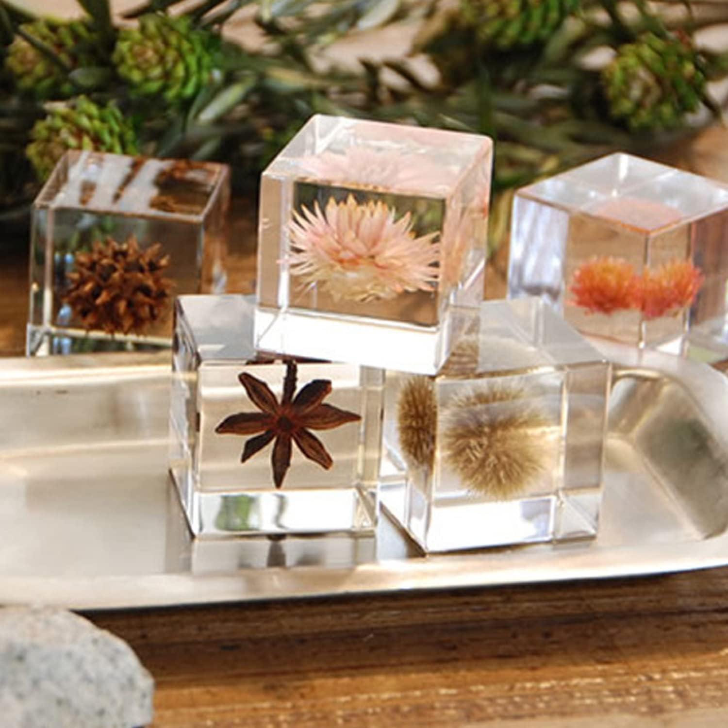 Moldes de Cubo de Silicona Transparente ResinWorld 6 Piezas