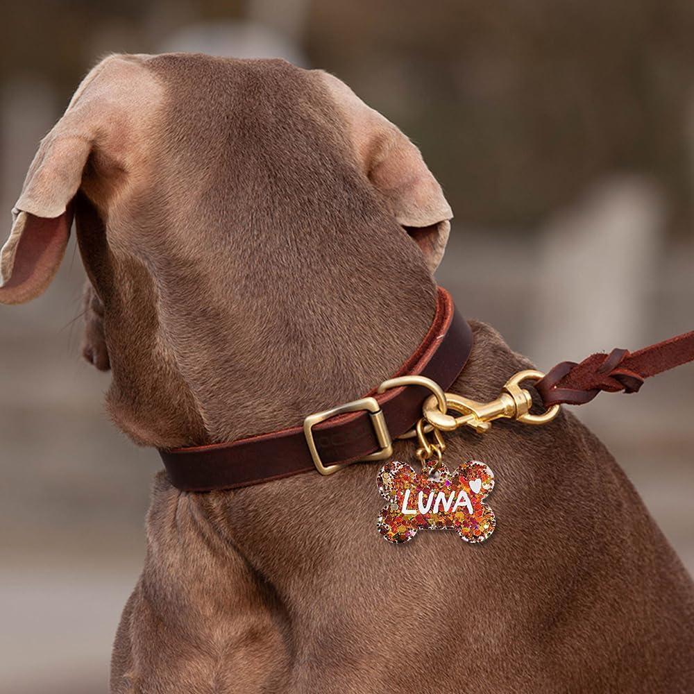 Moldes de Silicona ResinWorld para Etiquetas de Perro 16 Piezas