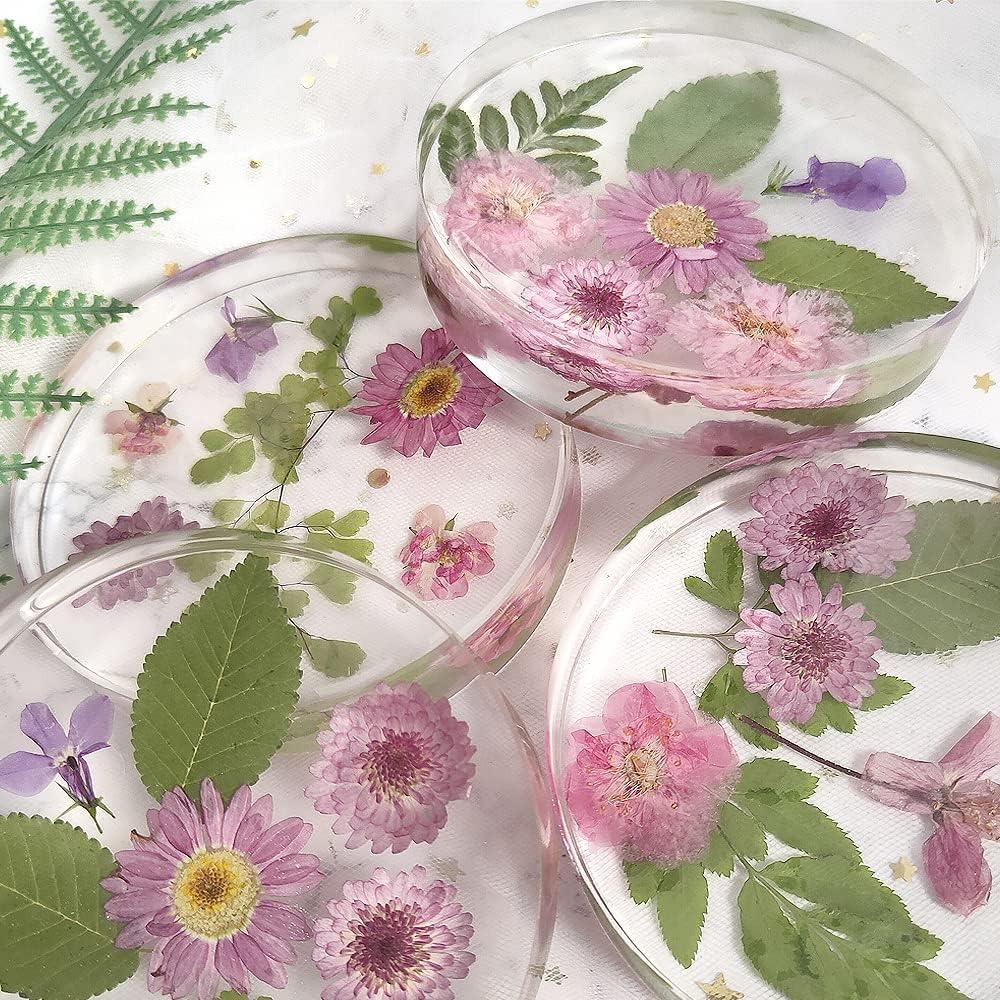 Molde de Posavasos Redondo Profundo ResinWorld 10 cm 6 Cavidades