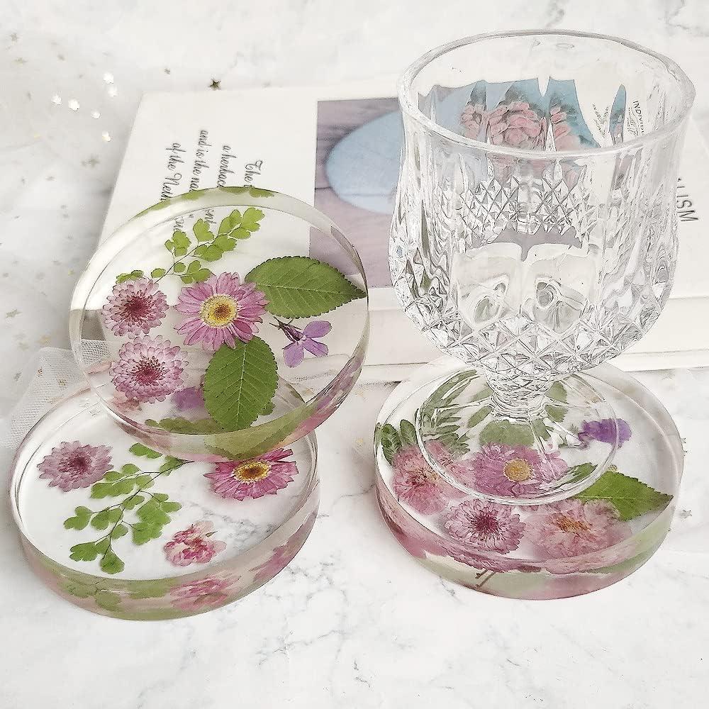 Molde de Posavasos Redondo Profundo ResinWorld 10 cm 6 Cavidades