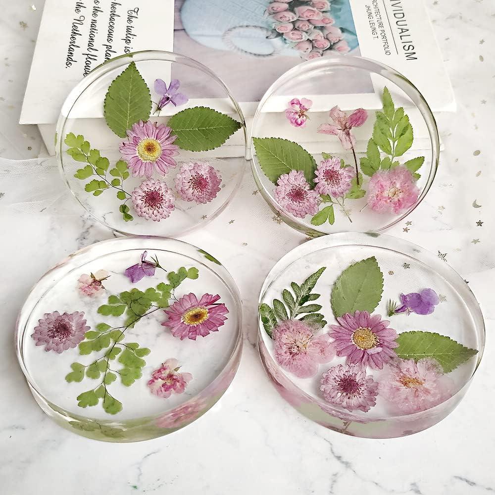 Molde de Posavasos Redondo Profundo ResinWorld 10 cm 6 Cavidades