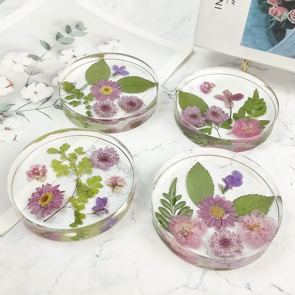 Molde de Posavasos Redondo Profundo ResinWorld 10 cm 6 Cavidades