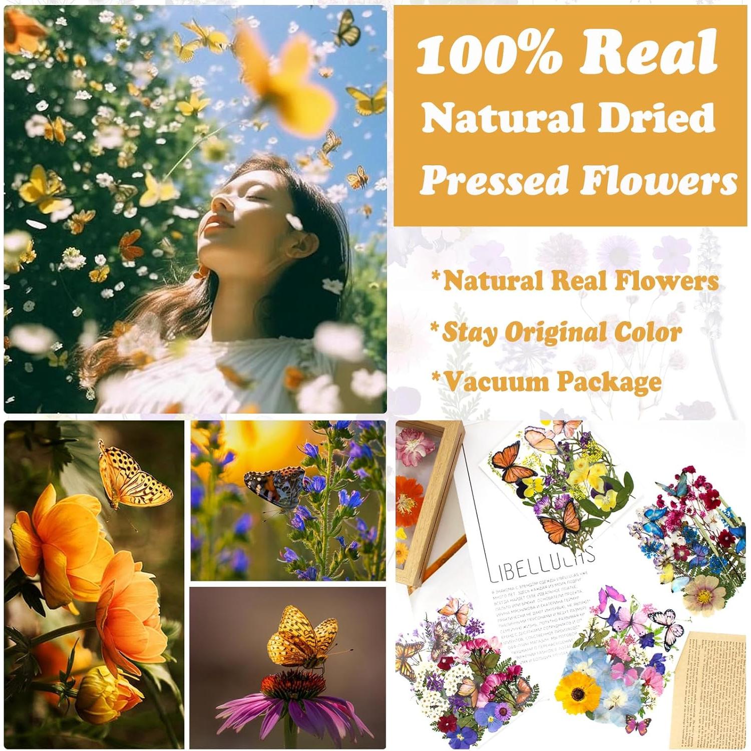 99 Piezas Flores Secas Prensadas LUCISKY para Manualidades