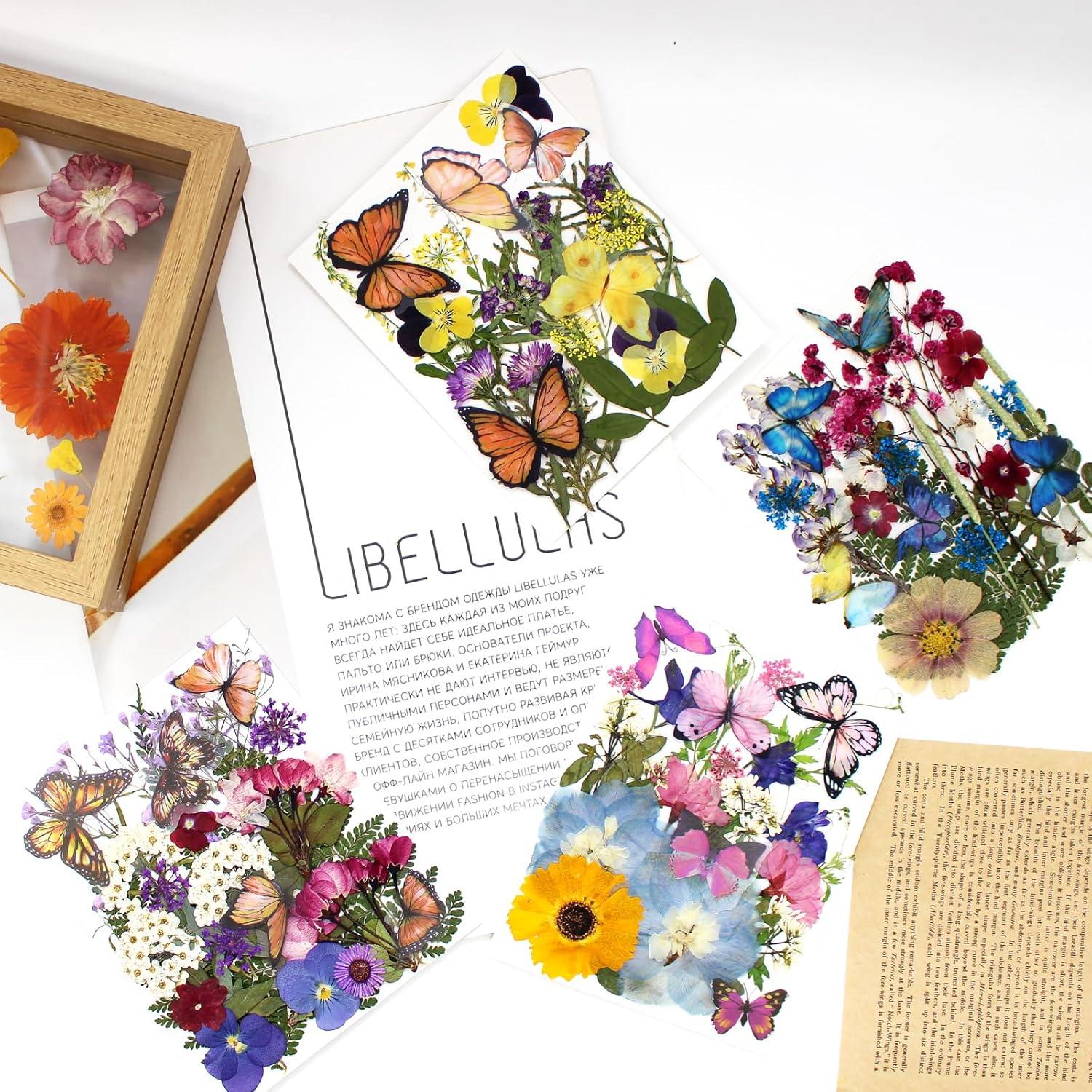 99 Piezas Flores Secas Prensadas LUCISKY para Manualidades