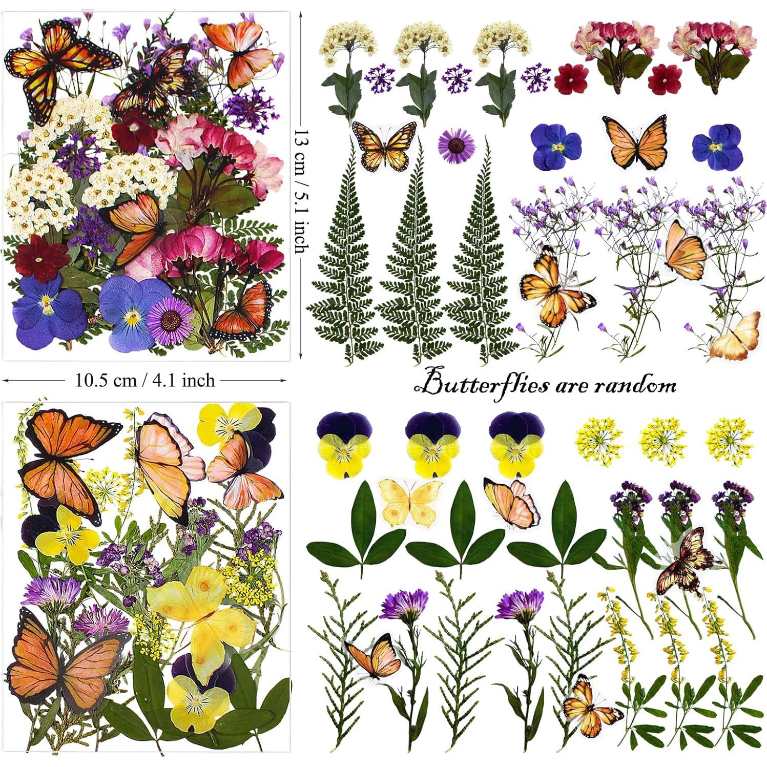 99 Piezas Flores Secas Prensadas LUCISKY para Manualidades