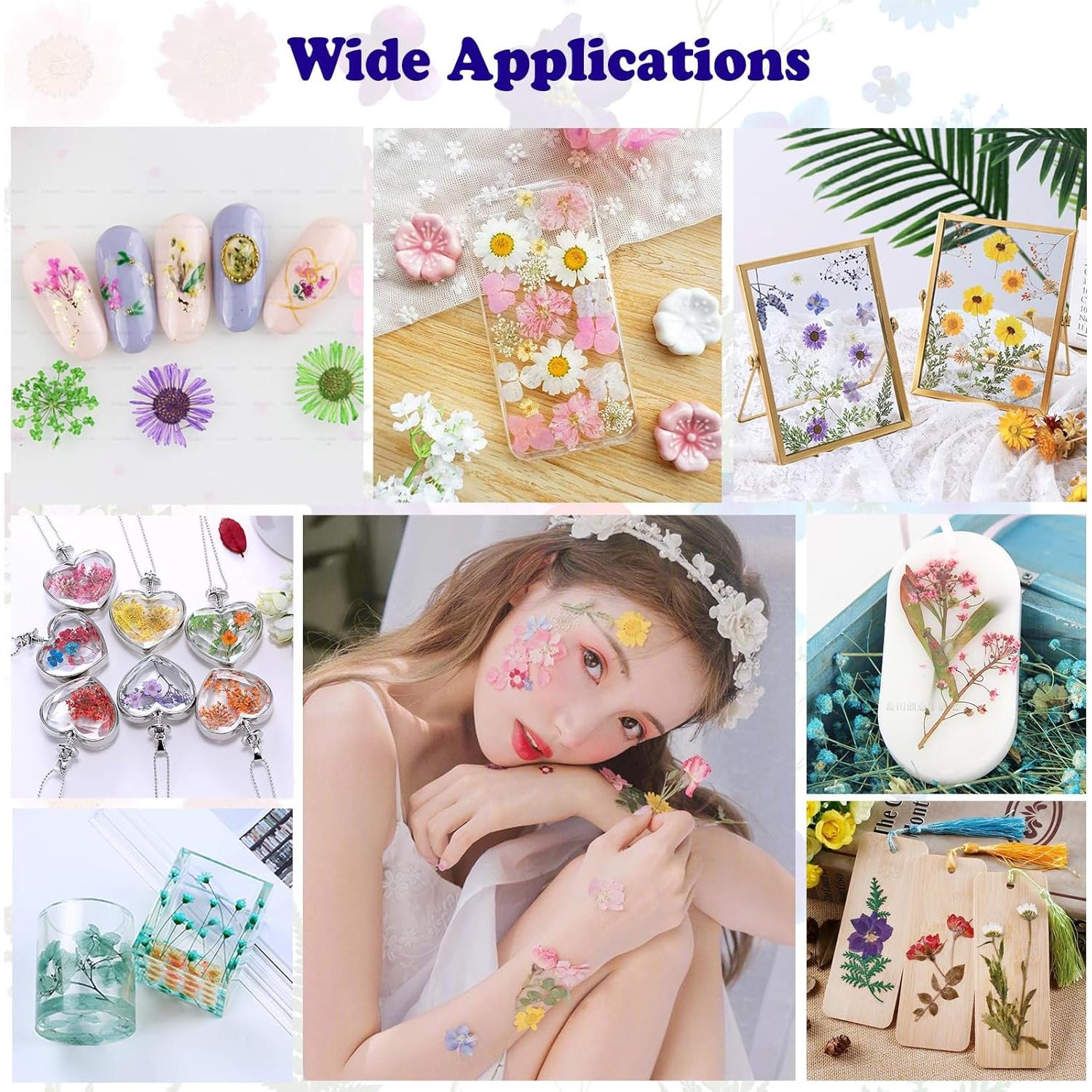 99 Piezas Flores Secas Prensadas LUCISKY para Manualidades