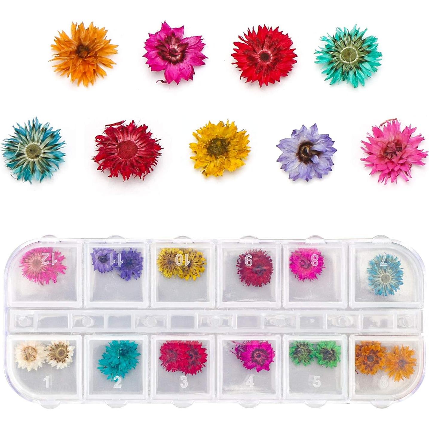 Gartful 4 Cajas de Flores Secas 48 Estilos para Manualidades