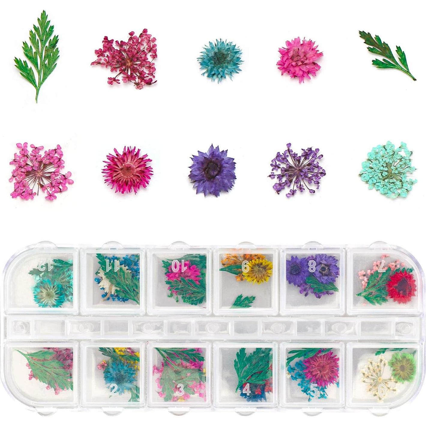 Gartful 4 Cajas de Flores Secas 48 Estilos para Manualidades