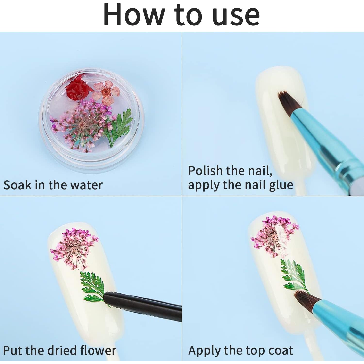 Gartful 4 Cajas de Flores Secas 48 Estilos para Manualidades