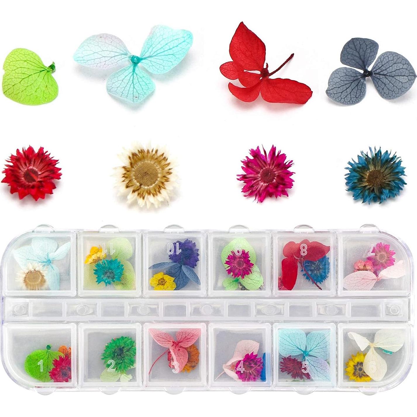 Gartful 4 Cajas de Flores Secas 48 Estilos para Manualidades