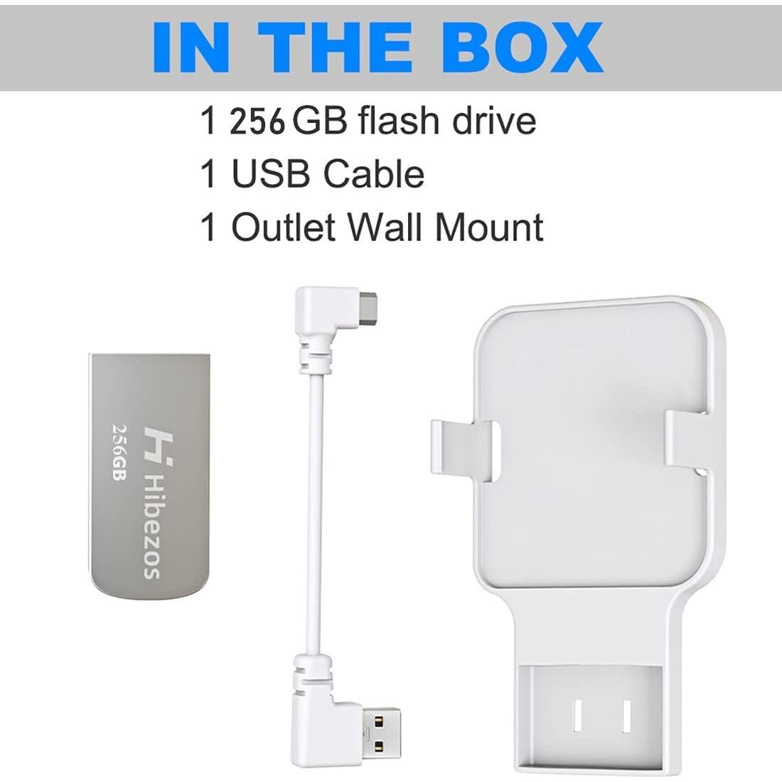 Unidad Flash USB 256GB Hibezos con Montaje para Blink 2