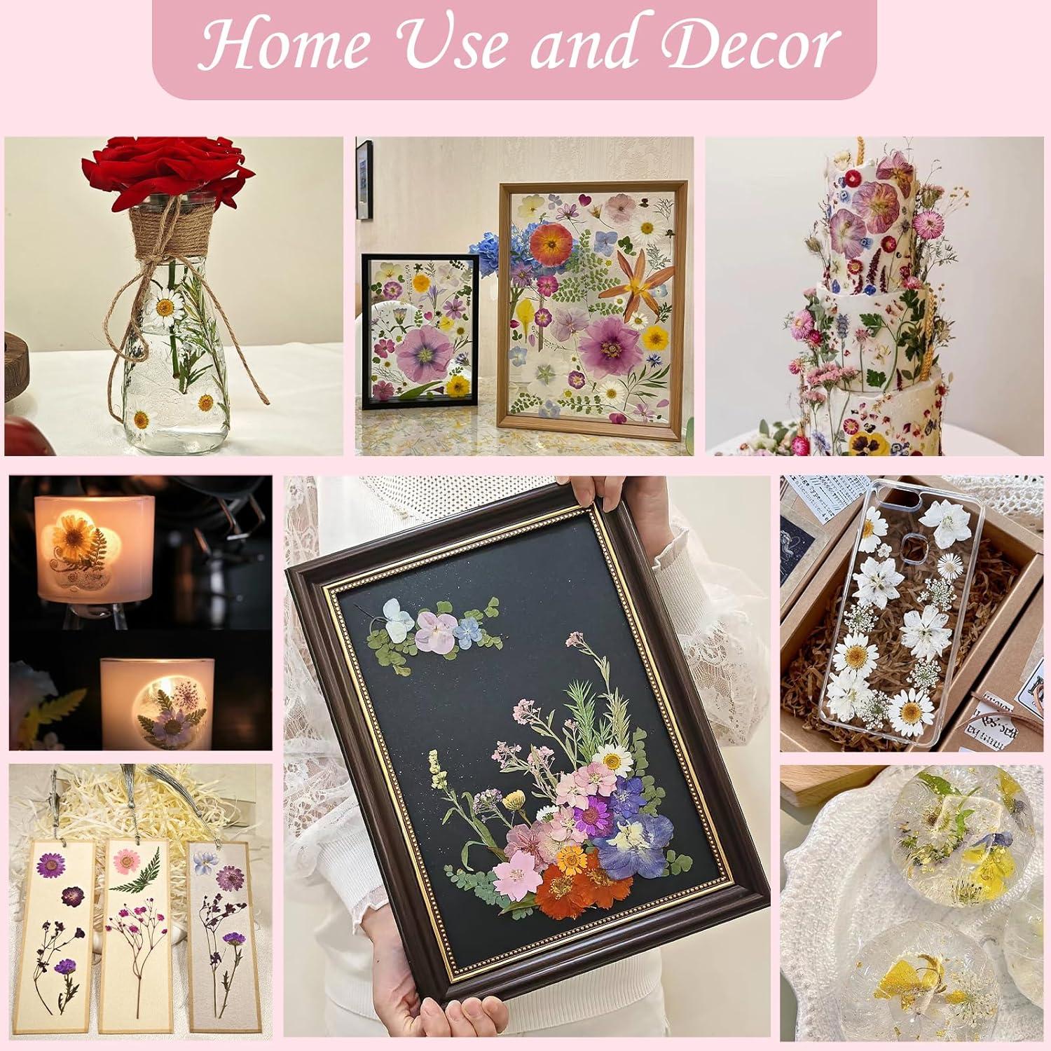 80 Flores Secas Presionadas LUXEEASE para Manualidades DIY