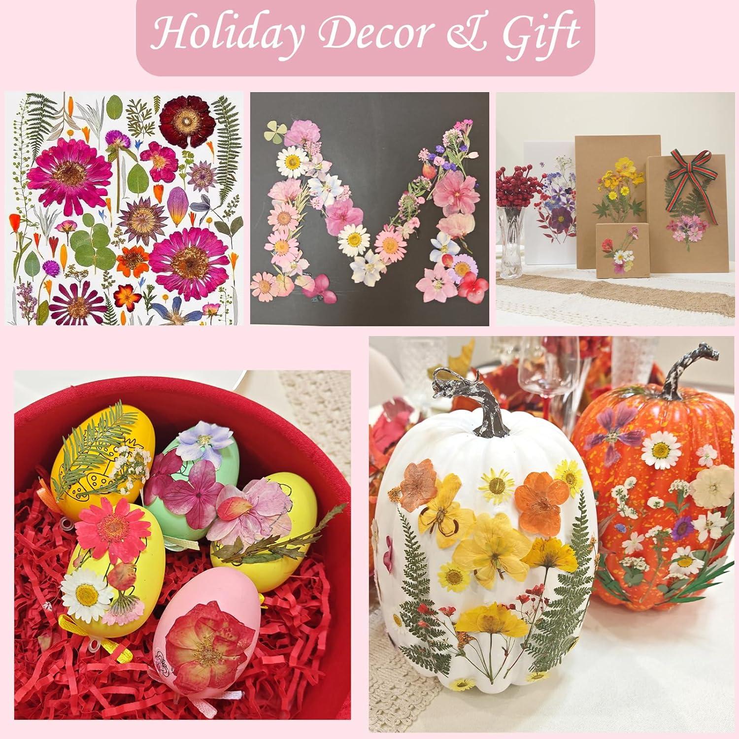 80 Flores Secas Presionadas LUXEEASE para Manualidades DIY