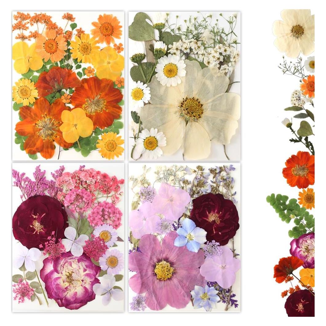 80 Piezas de Flores Prensadas Secas Naturales Buzidao