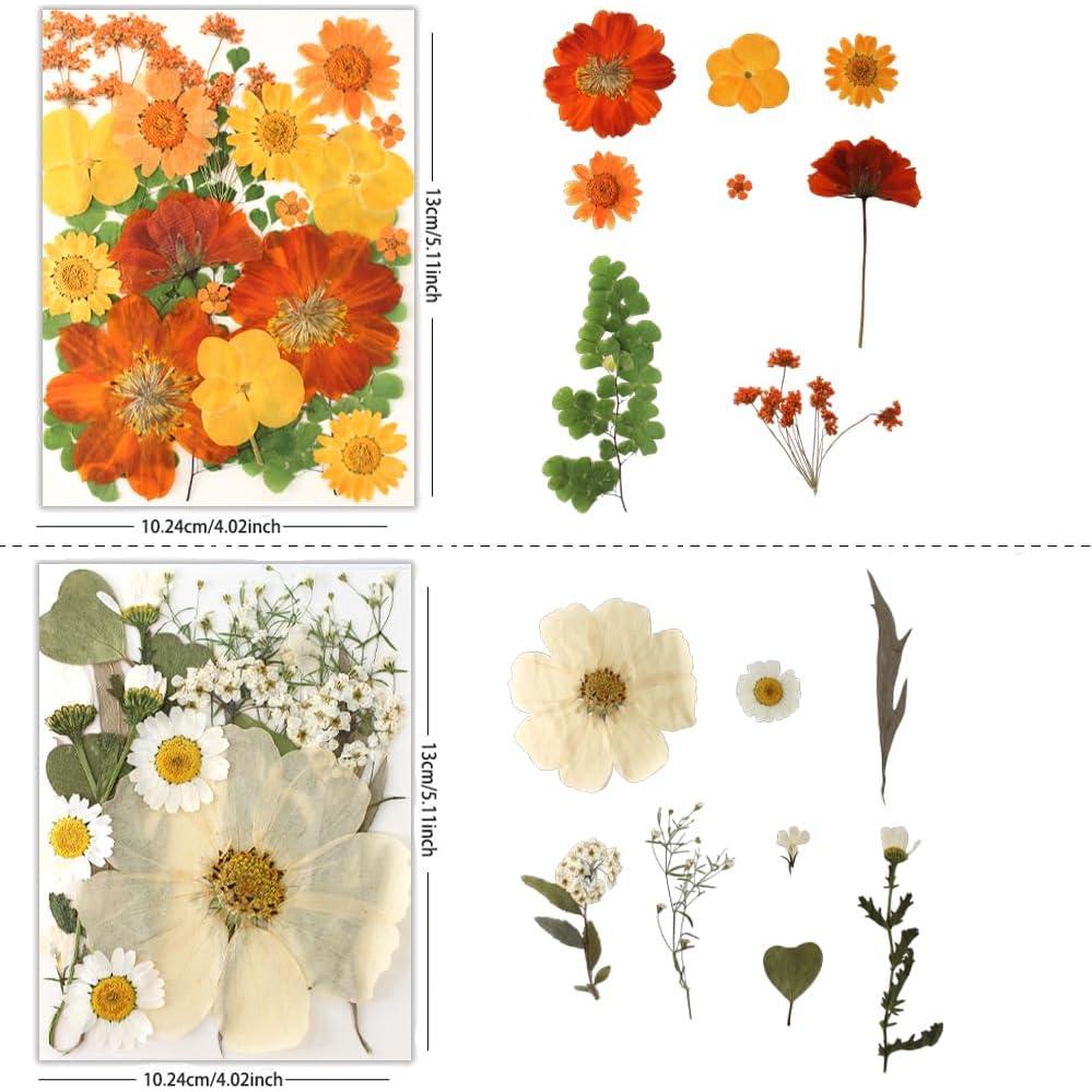 80 Piezas de Flores Prensadas Secas Naturales Buzidao