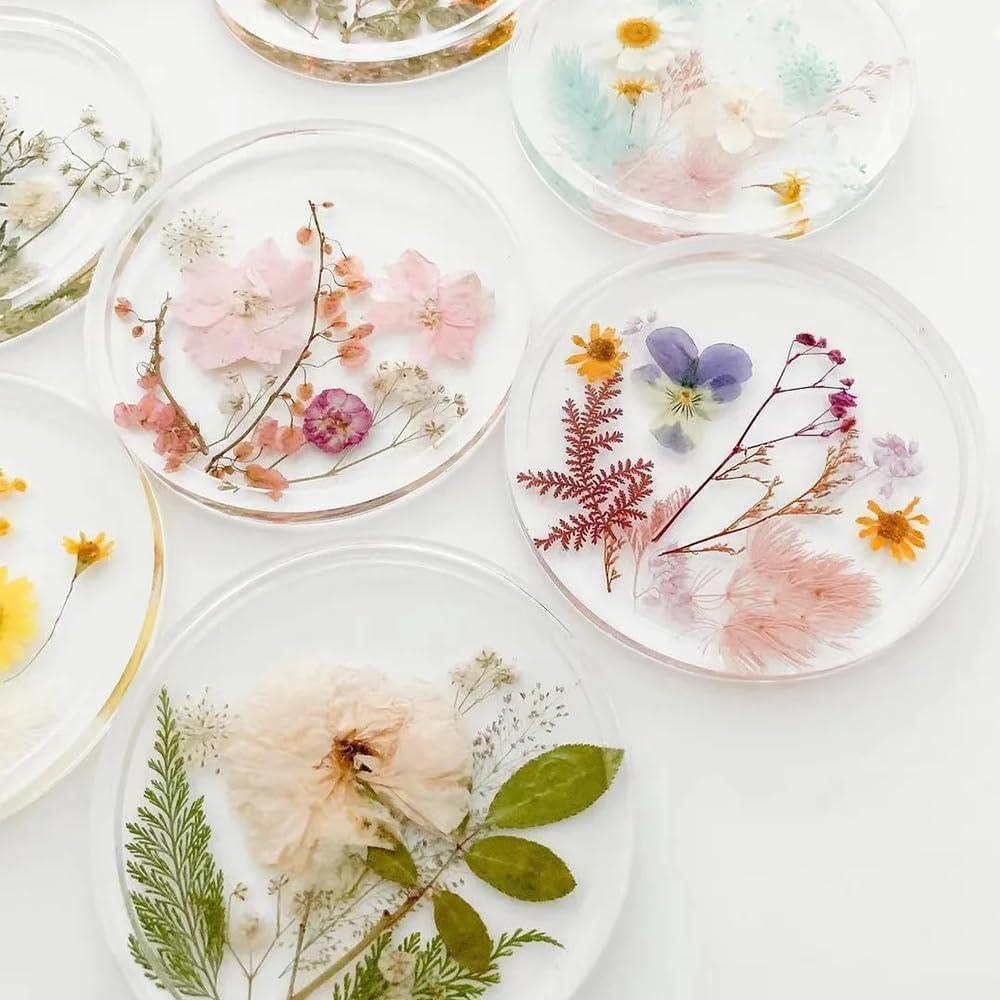 80 Piezas de Flores Prensadas Secas Naturales Buzidao