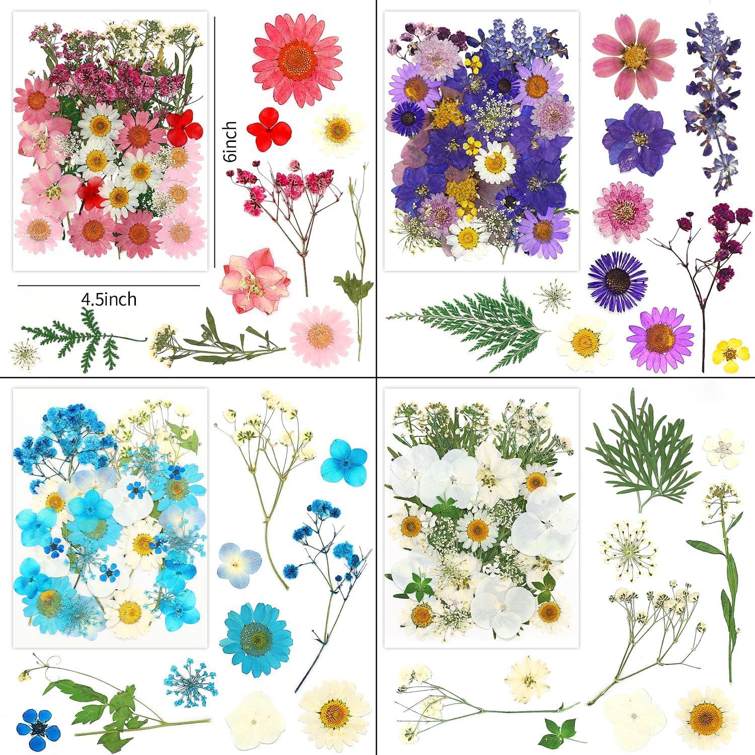 170 Piezas Flores Secas Prensadas Vignee para Manualidades