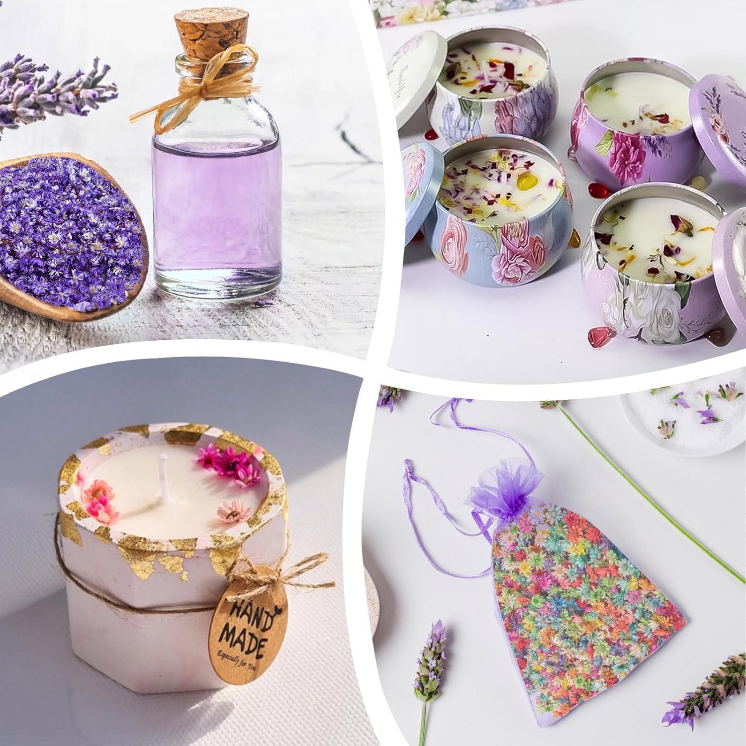 710 Flores Secas Naturales LGFMGWH para Manualidades y Uñas