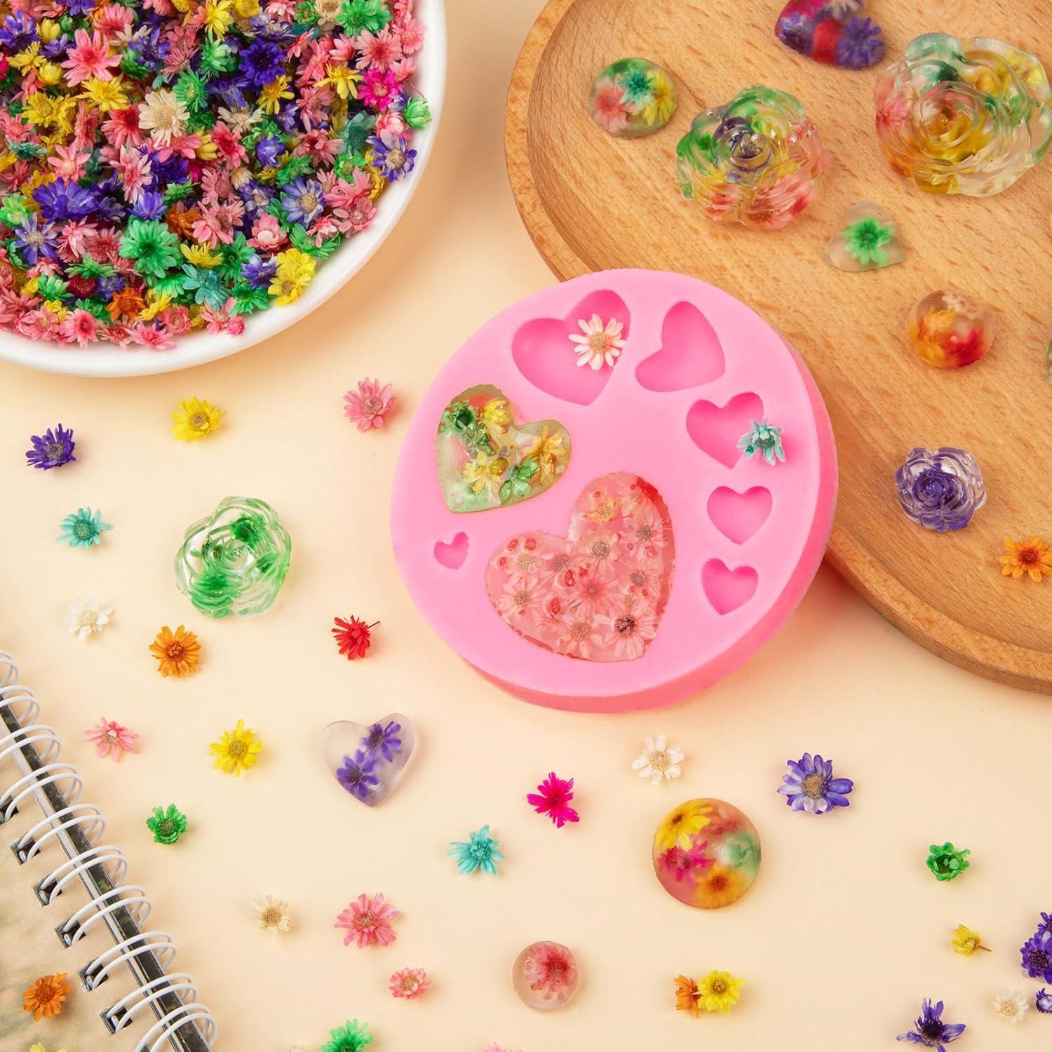 710 Flores Secas Naturales LGFMGWH para Manualidades y Uñas