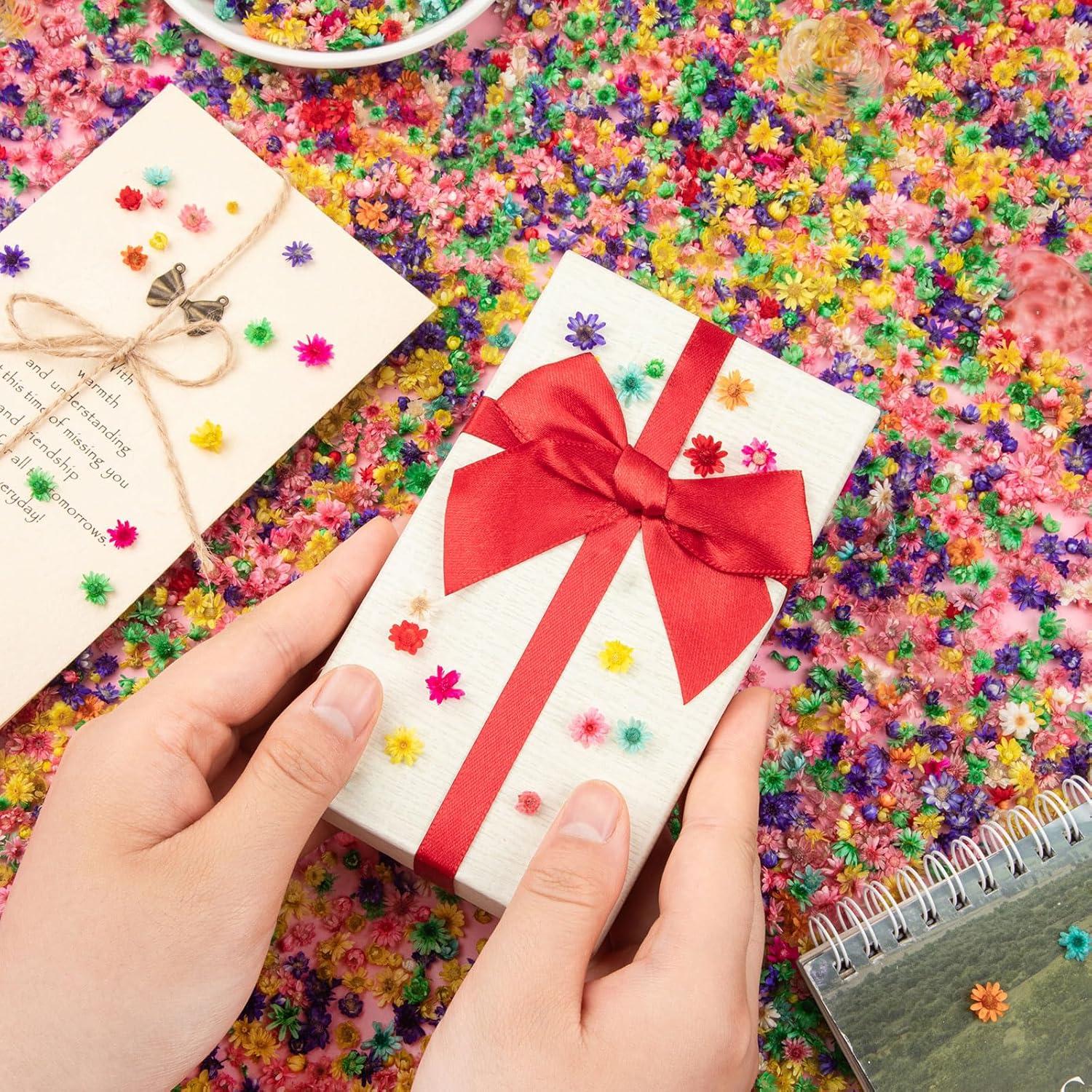 710 Flores Secas Naturales LGFMGWH para Manualidades y Uñas