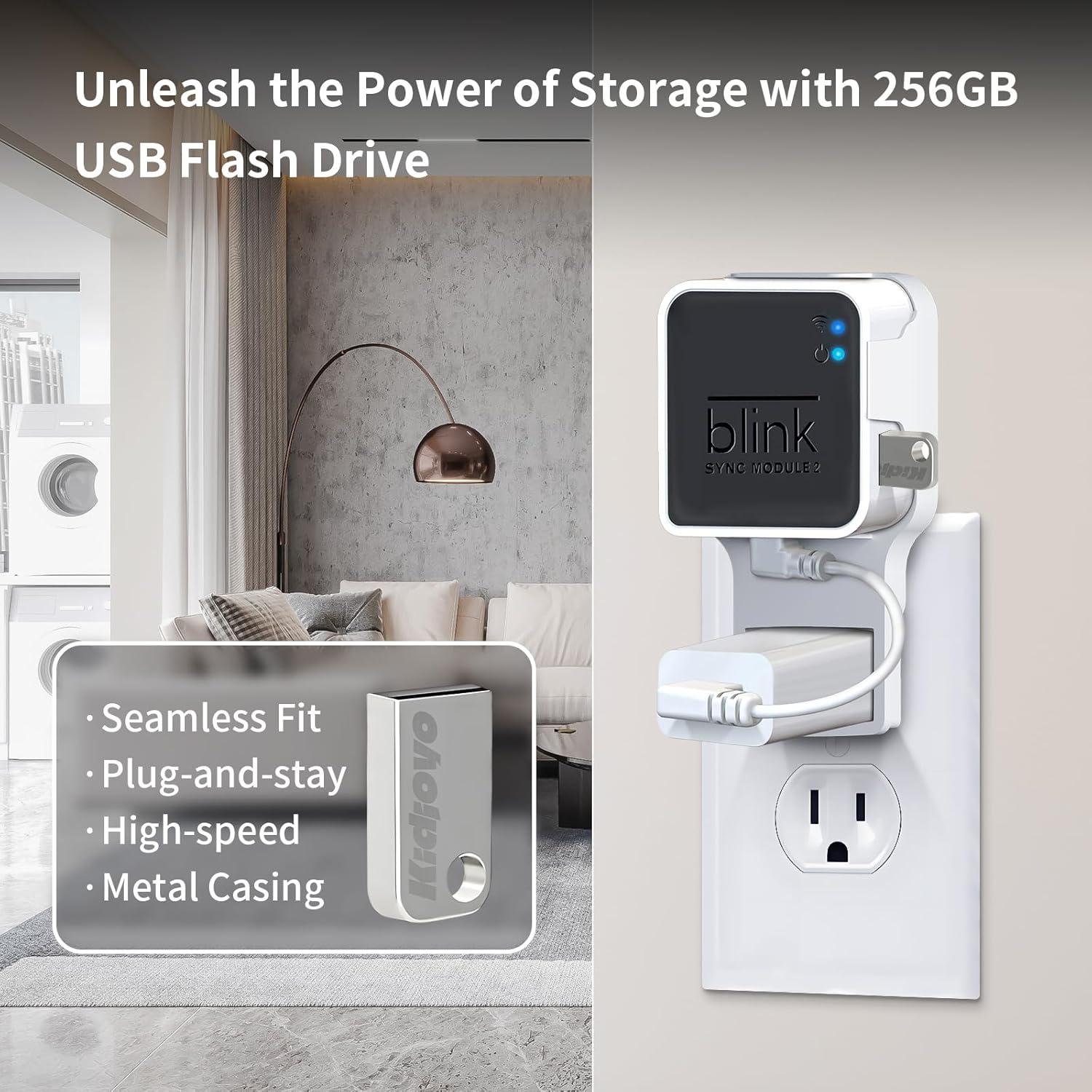 Unidad Flash USB 256GB Kidjoyo + Soporte Blink Sync Module