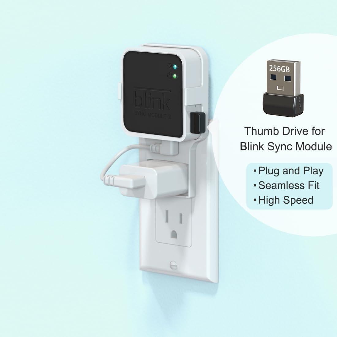 Unidad Flash USB 256GB Blink + Soporte Montaje Pared