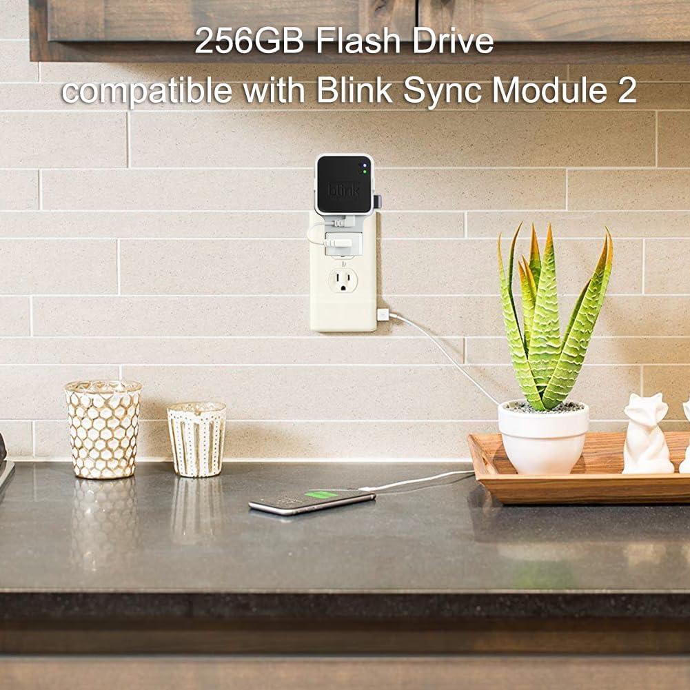 Unidad Flash USB 256GB Blink + Soporte Montaje Pared