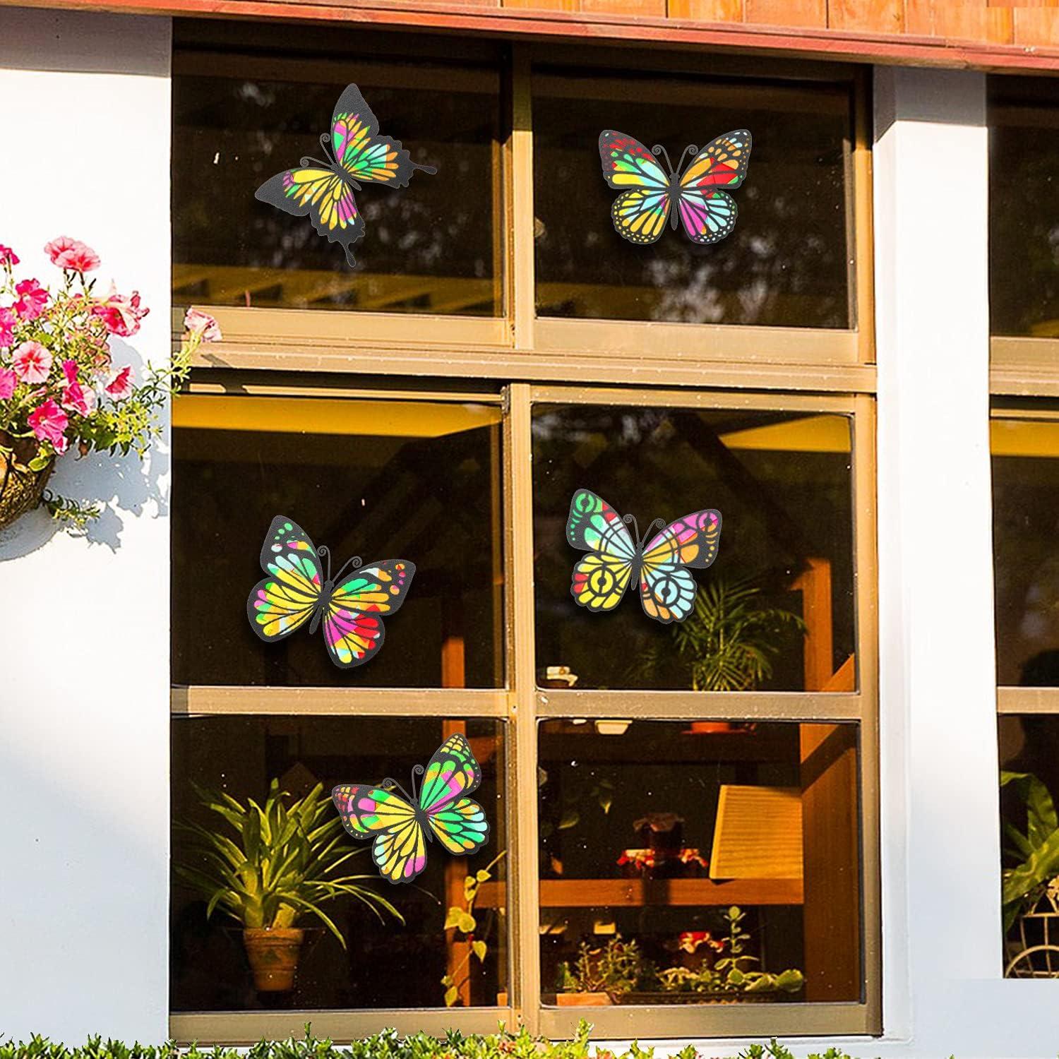 Kit de Atrapa Rayos de Mariposa MixTeach 50 Piezas 16x11cm