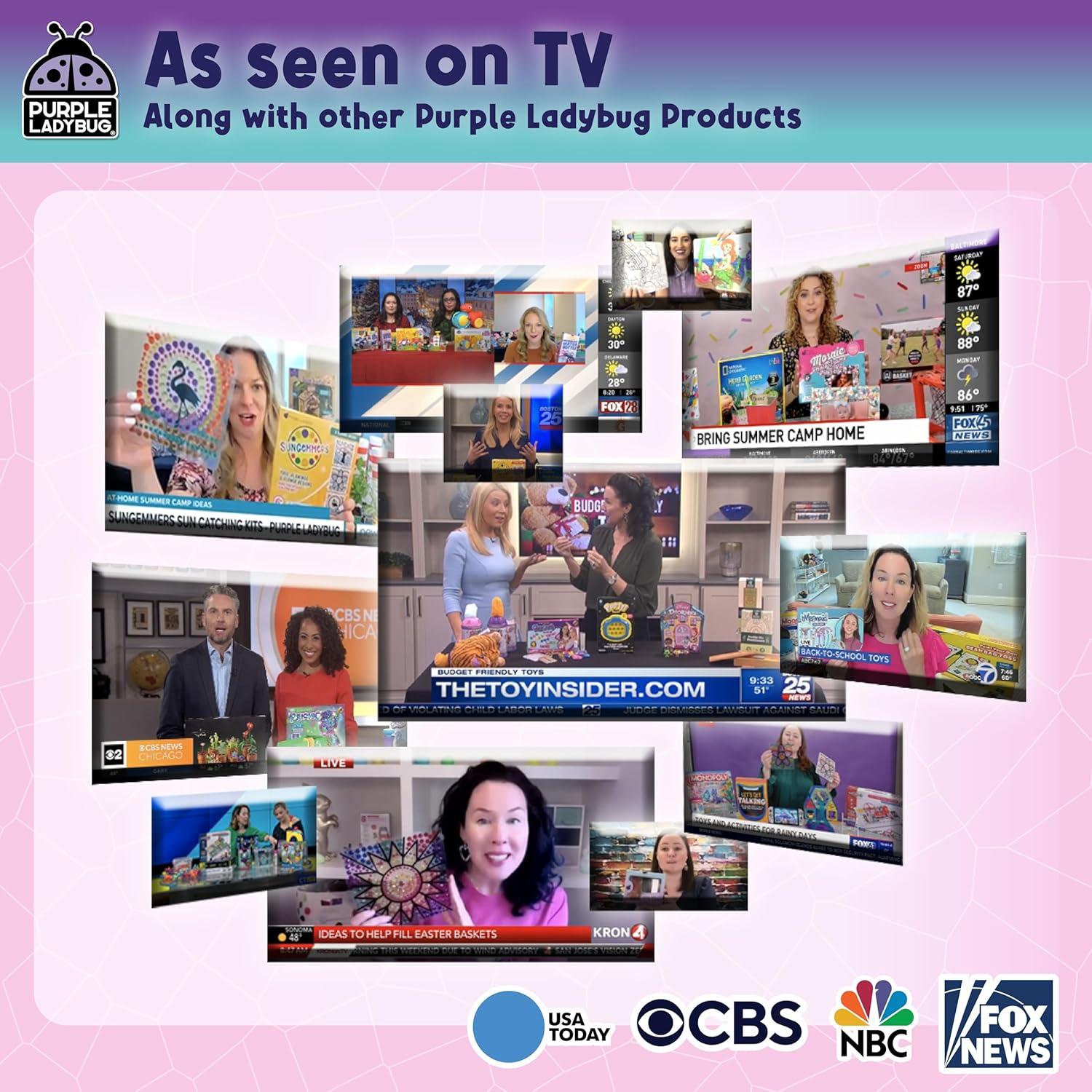 Kit de Marco de Foto Mosaico DIY Ladybug Morado - Manualidades para Niños 6 a 12 Años