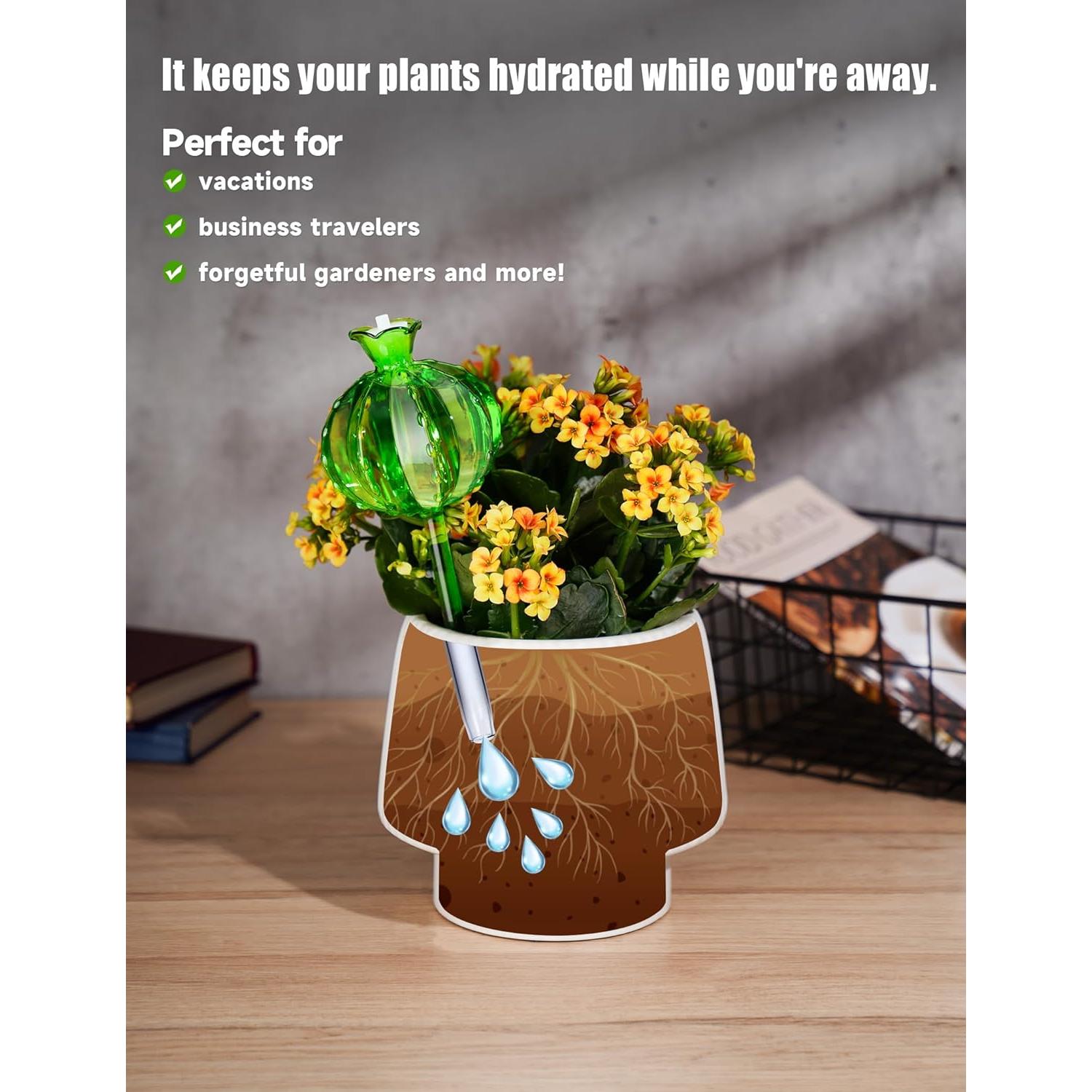 Esferas de Riego Automático NiHome 4-Pack Vidrio Verde